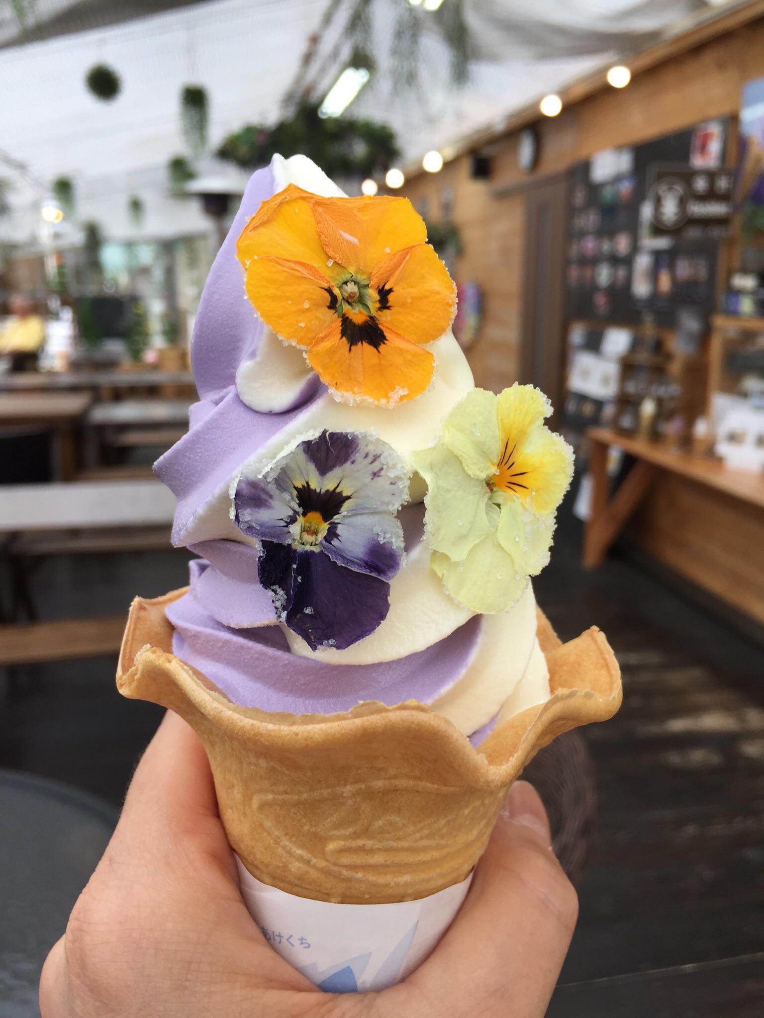 Lavender ice cream with edible flowers in Kawaguchiko, Japan r/japanpics