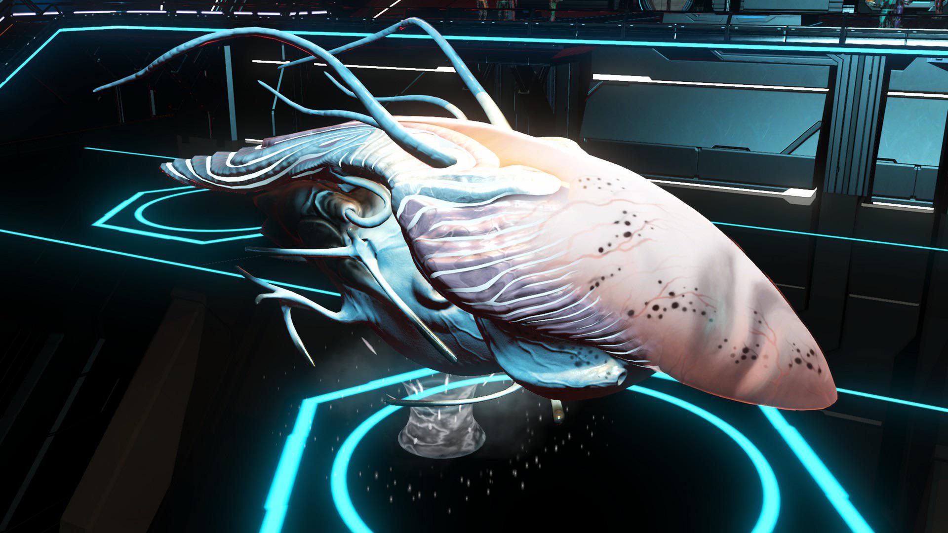 Are there a lot of variants to living ships? r/NOMANSSKY