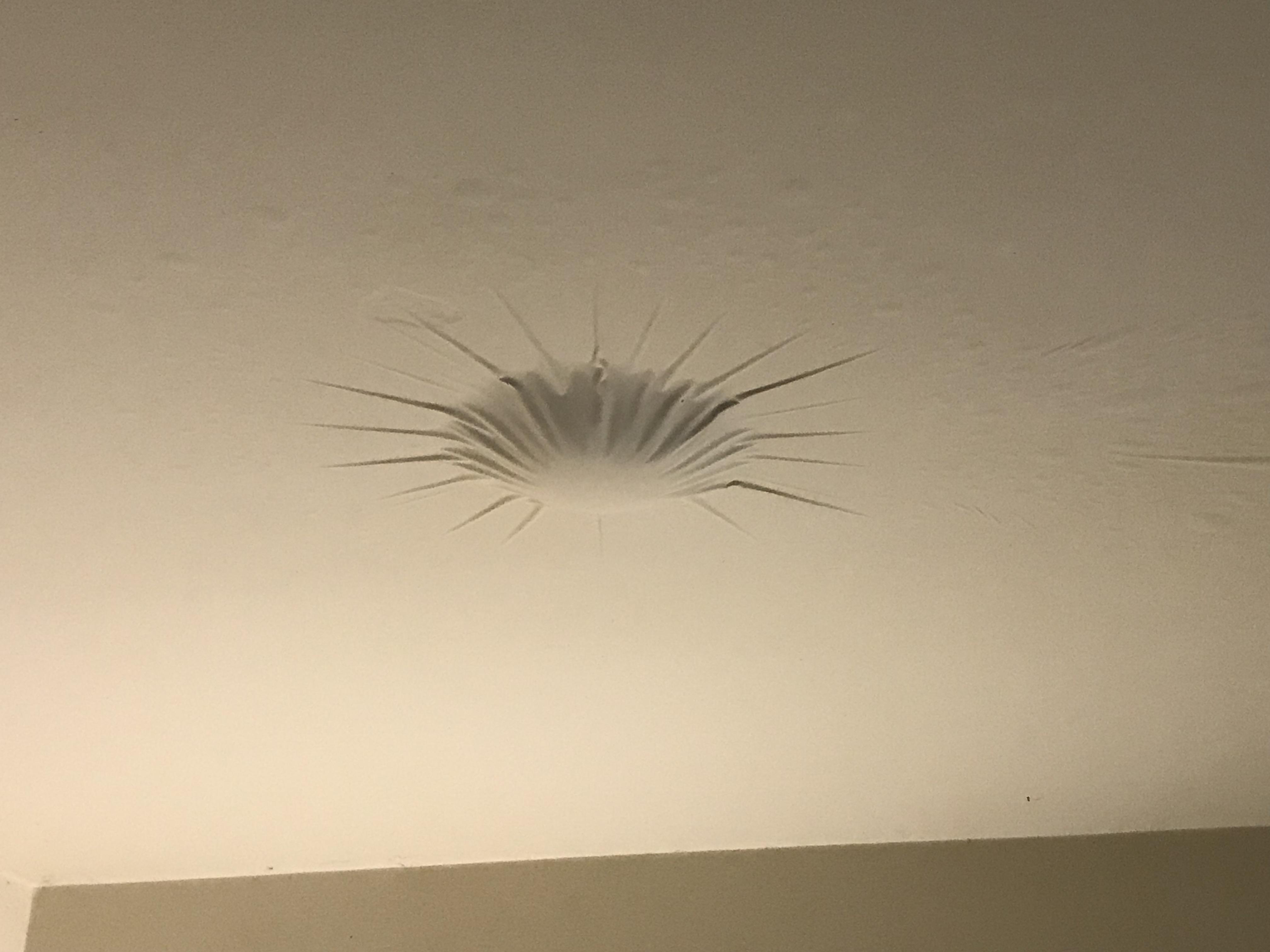 Ceiling paint preventing water from falling r/mildlyinteresting