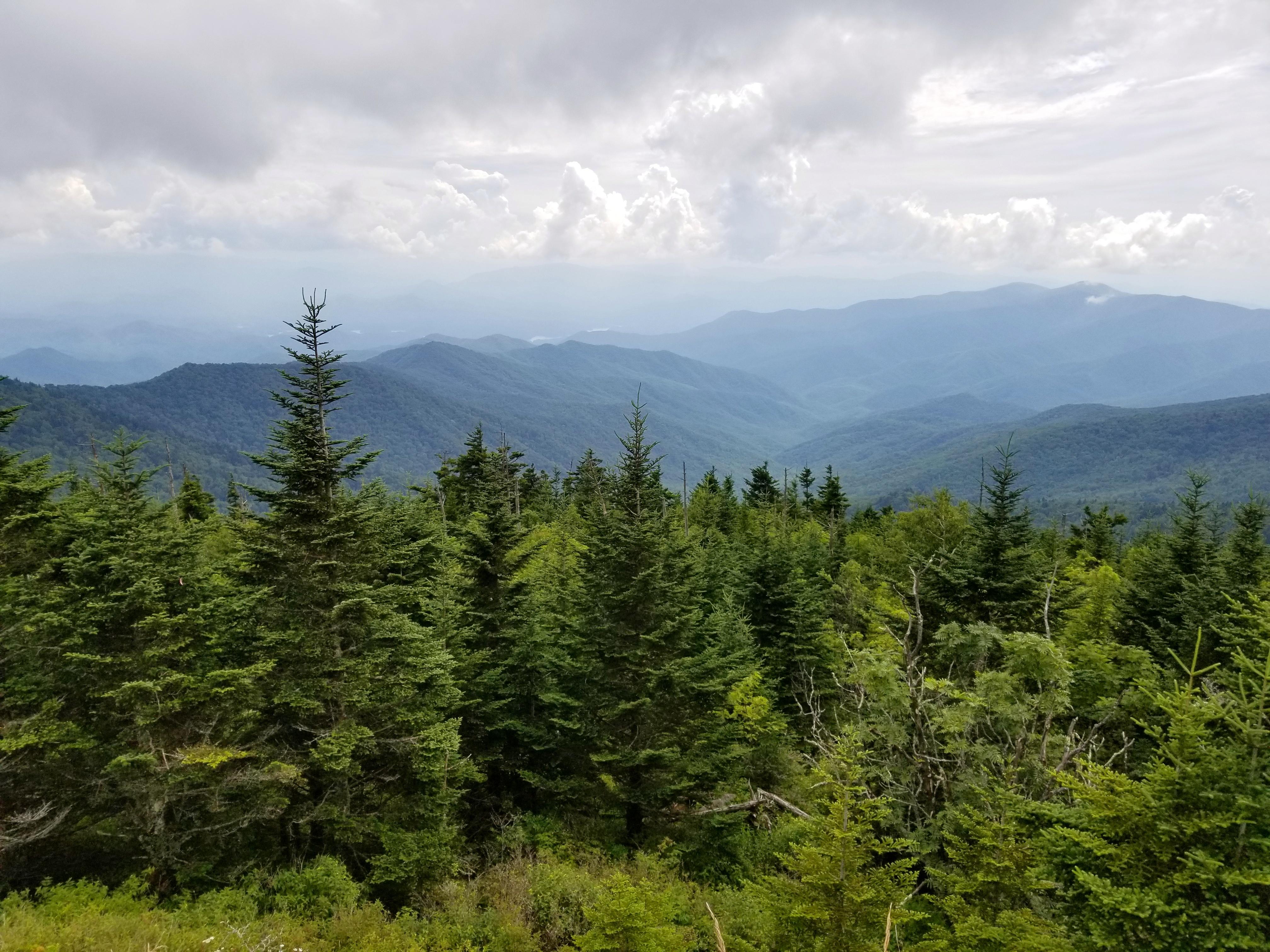 First time visiting The Great Smokey Mountains. r/natureporn