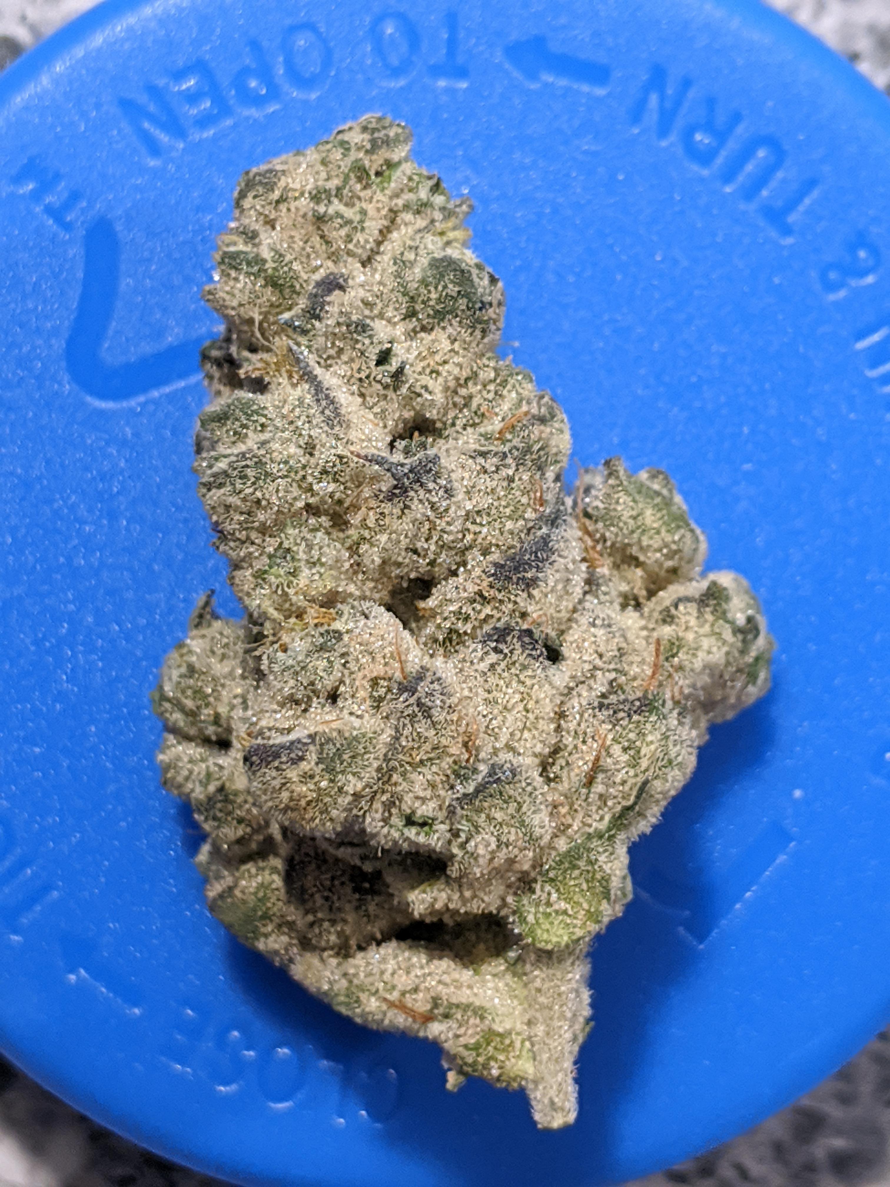 Rythm brownie scout PaMedicalMarijuana