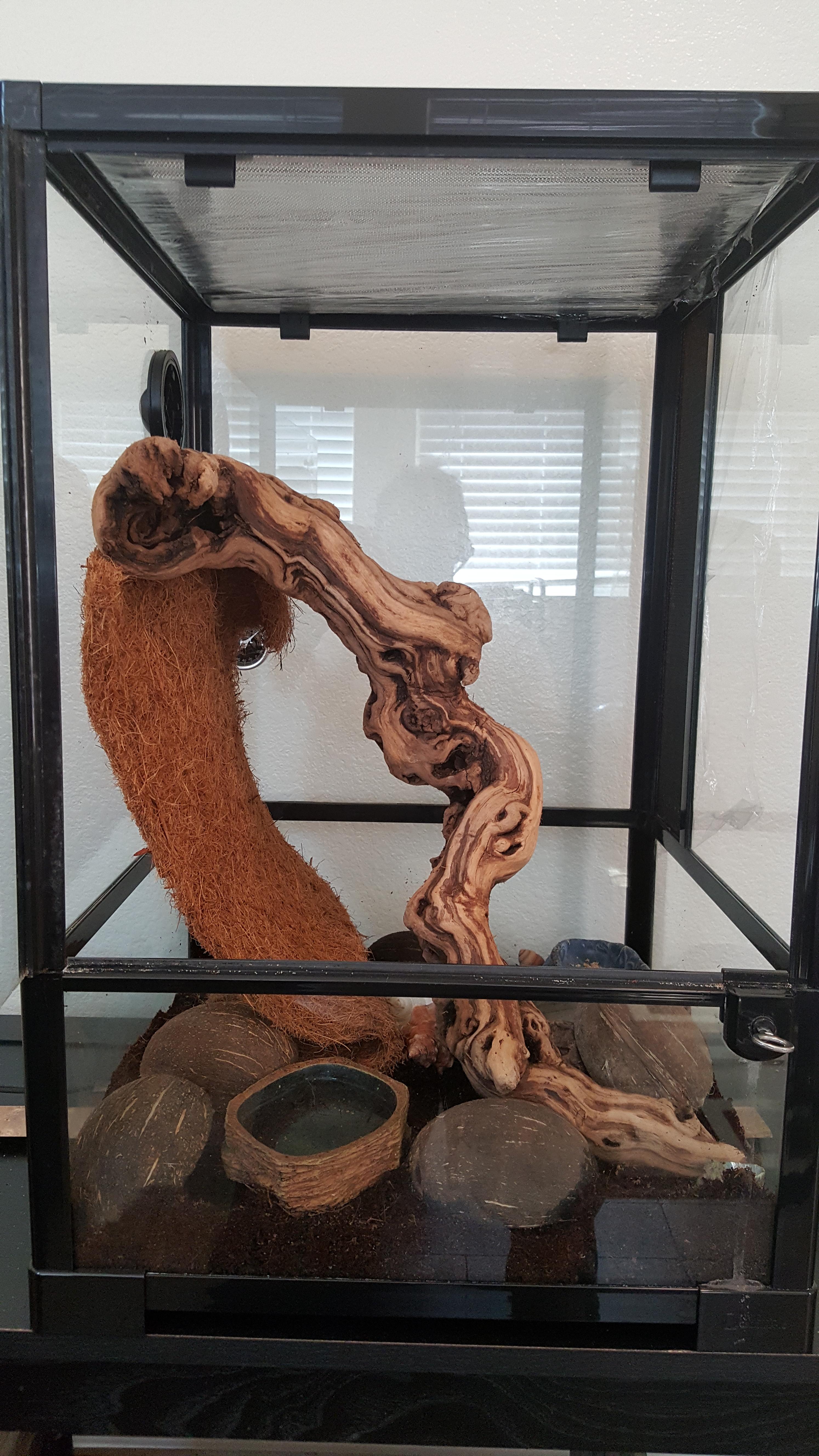 New hermit crab habitat, only 4 crabs, any suggestions? r/hermitcrabs