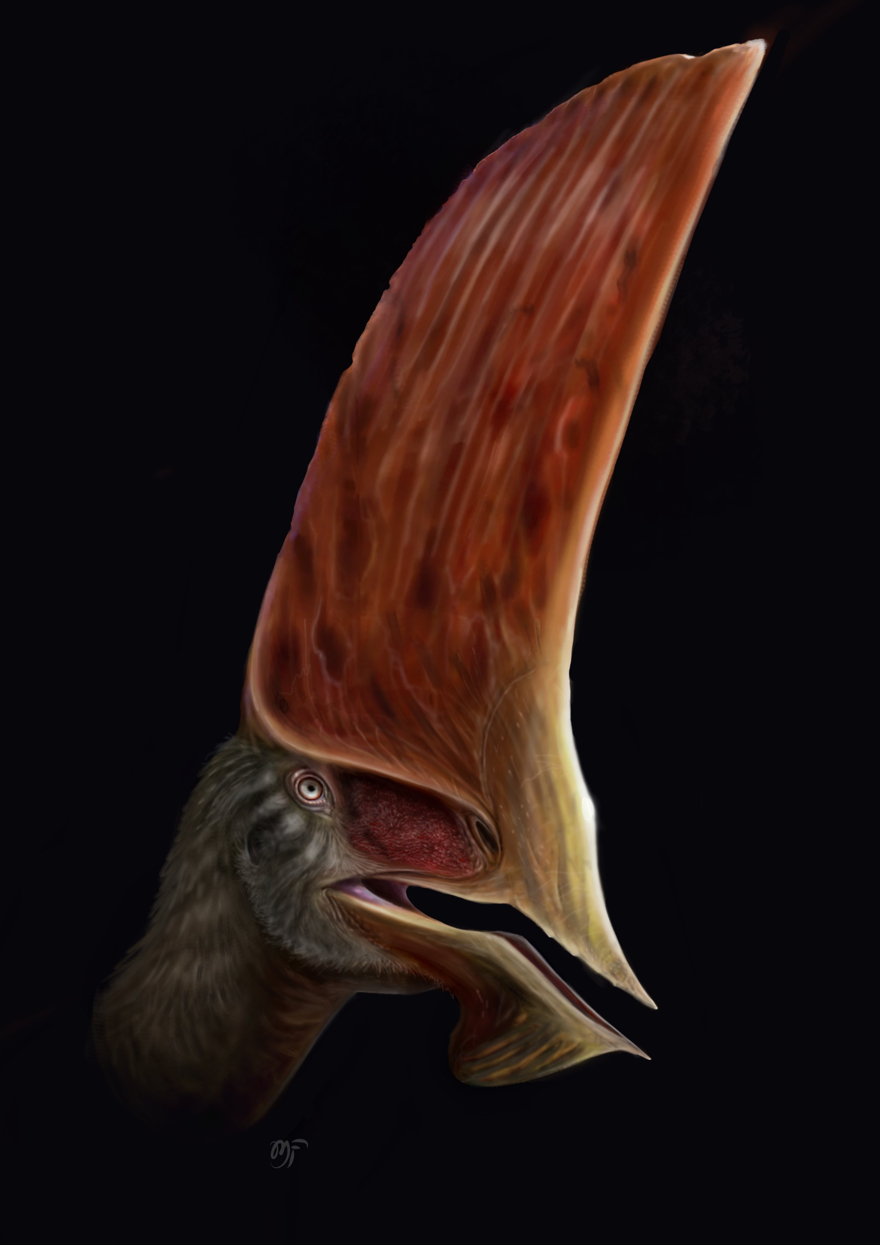 The description of a brandnew skeleton of a fancrested pterosaur
