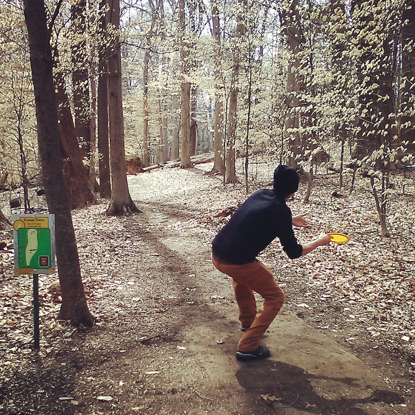 Spring Disc Golf in Maryland, Hole 7 at Druid Hill Park, Forrest Drive