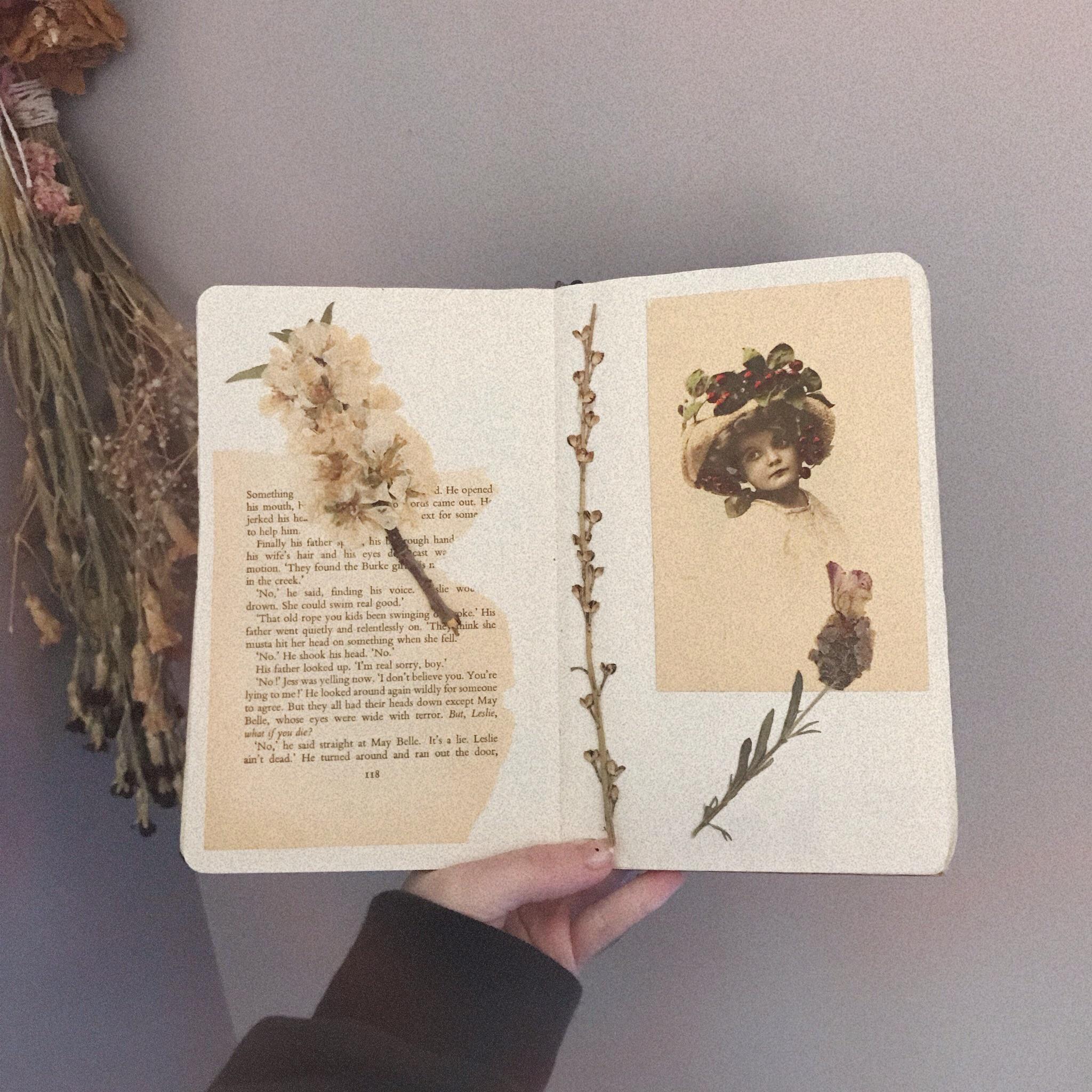 an older spread of mine 🍂 can u tell i love dried flowers r