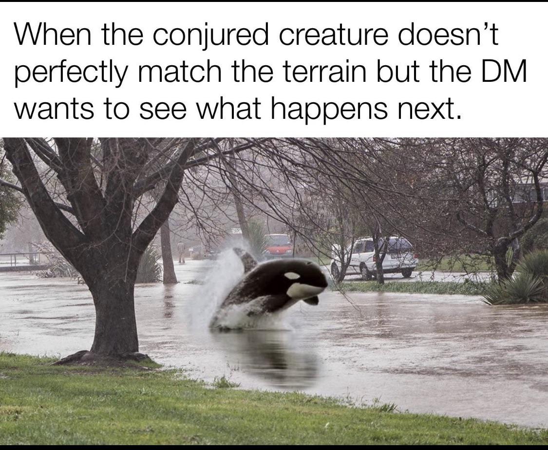 Whale Whale Whale look how the tables have turned. r/AllThingsDND