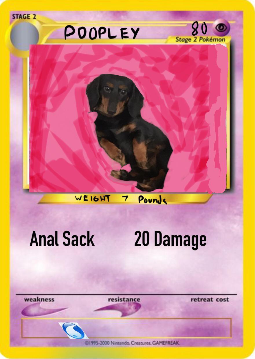 My son made this (Poopley is her nickname) r/Dachshund