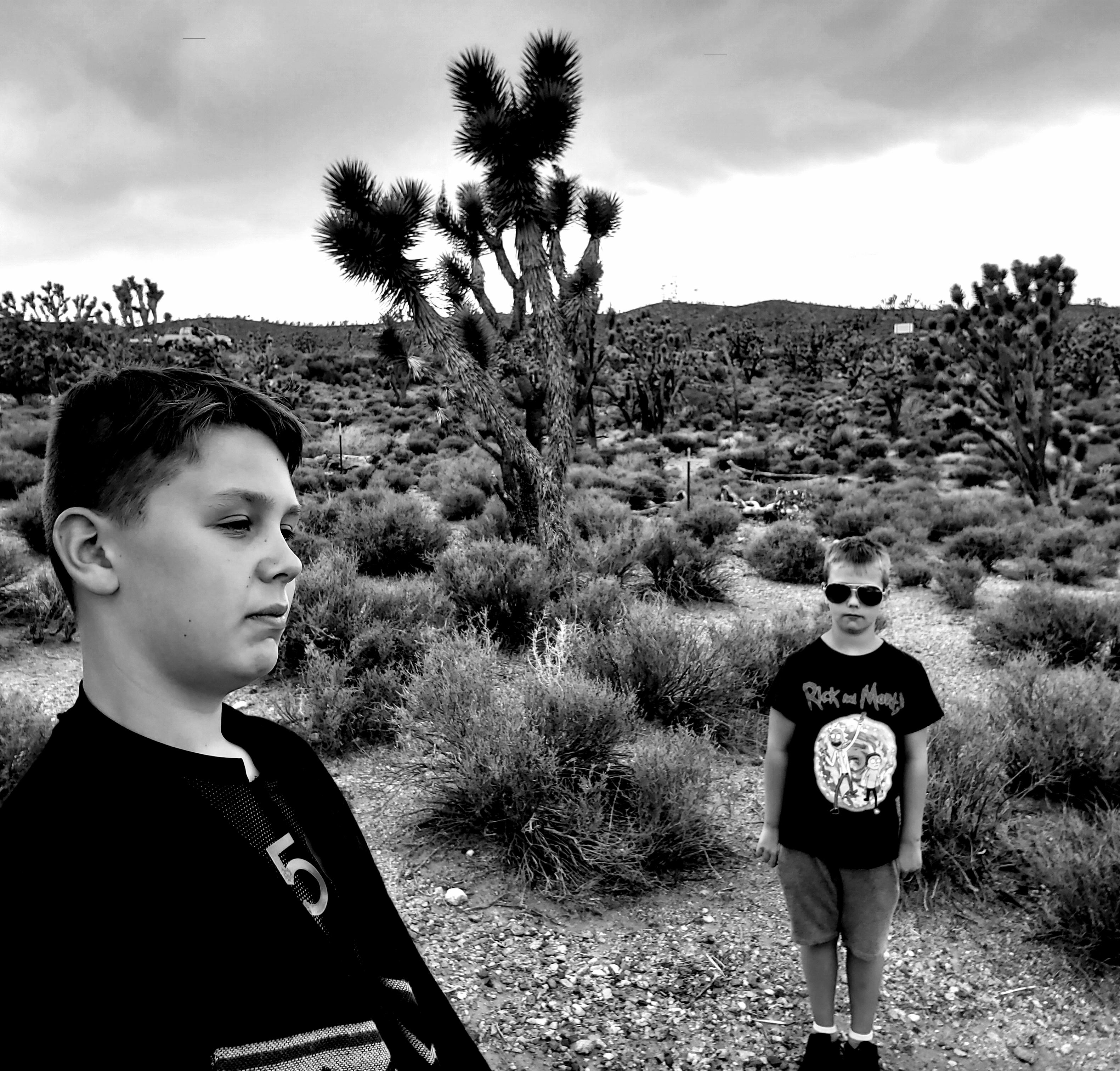 Joshua Tree Album Cover Kids Tribute r/U2Band