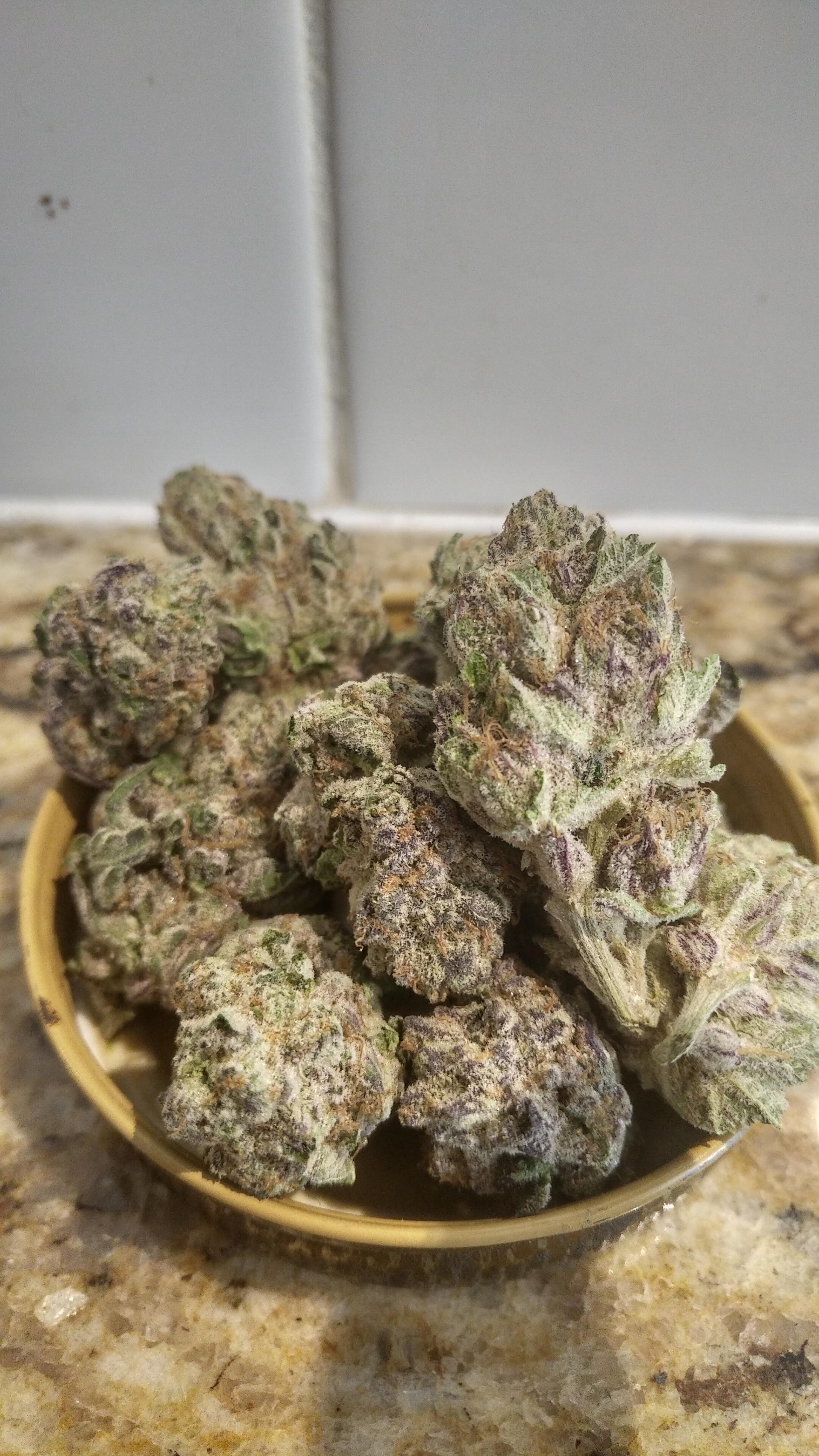 Wedding Crasher (small/med nugs) TCF March MOMpics