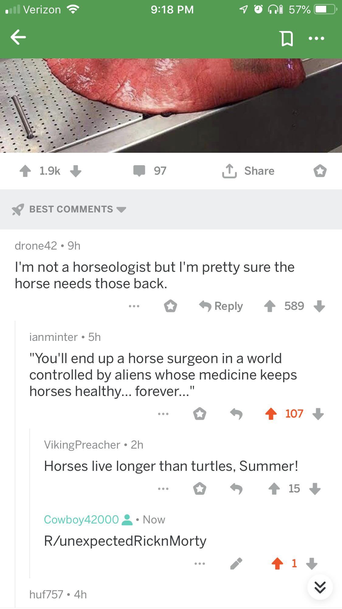 Horse lungs r/UnexpectedRicknMorty