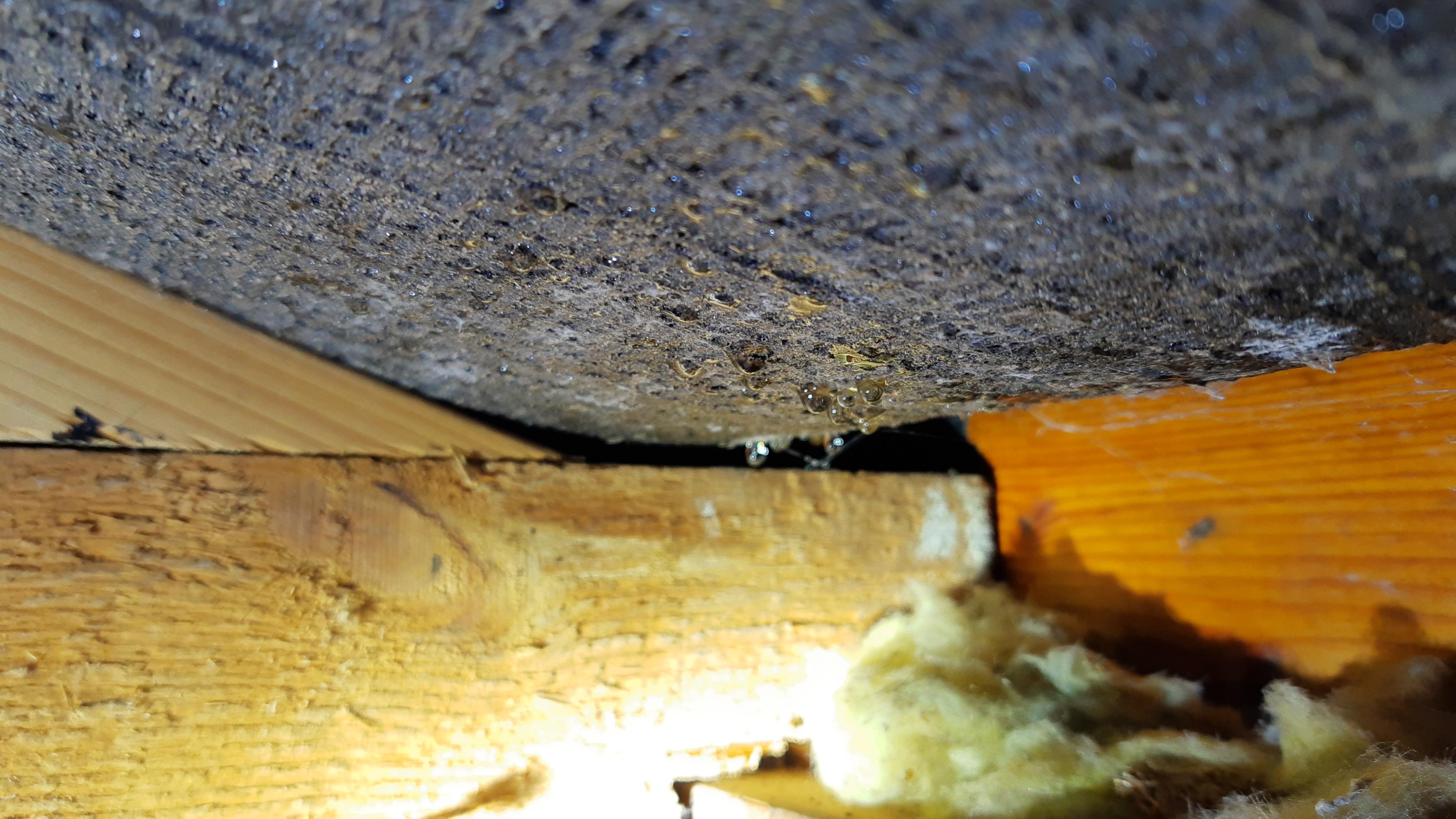 Roof Felt Sagging r/Roofing