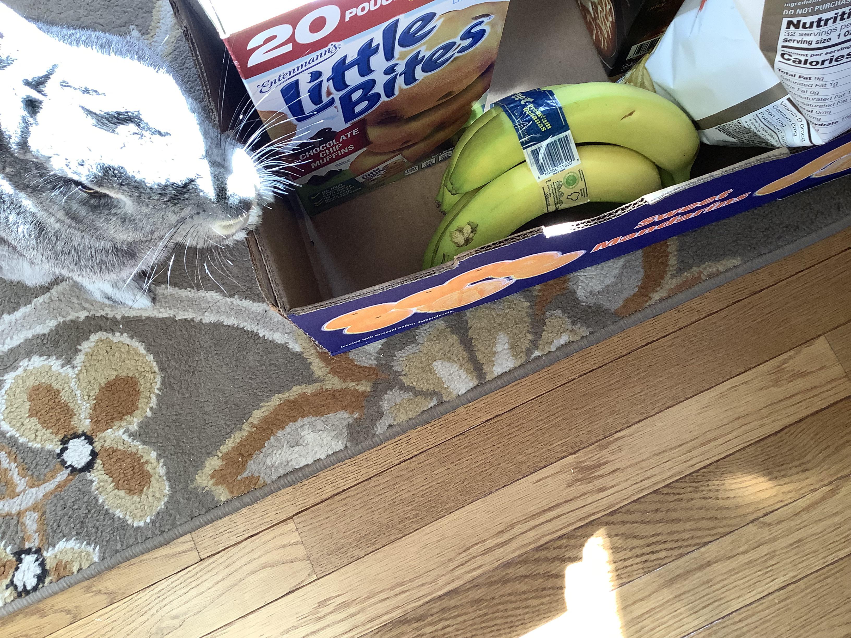 This time, somebun has gotten into the Costco delivery of bananas and