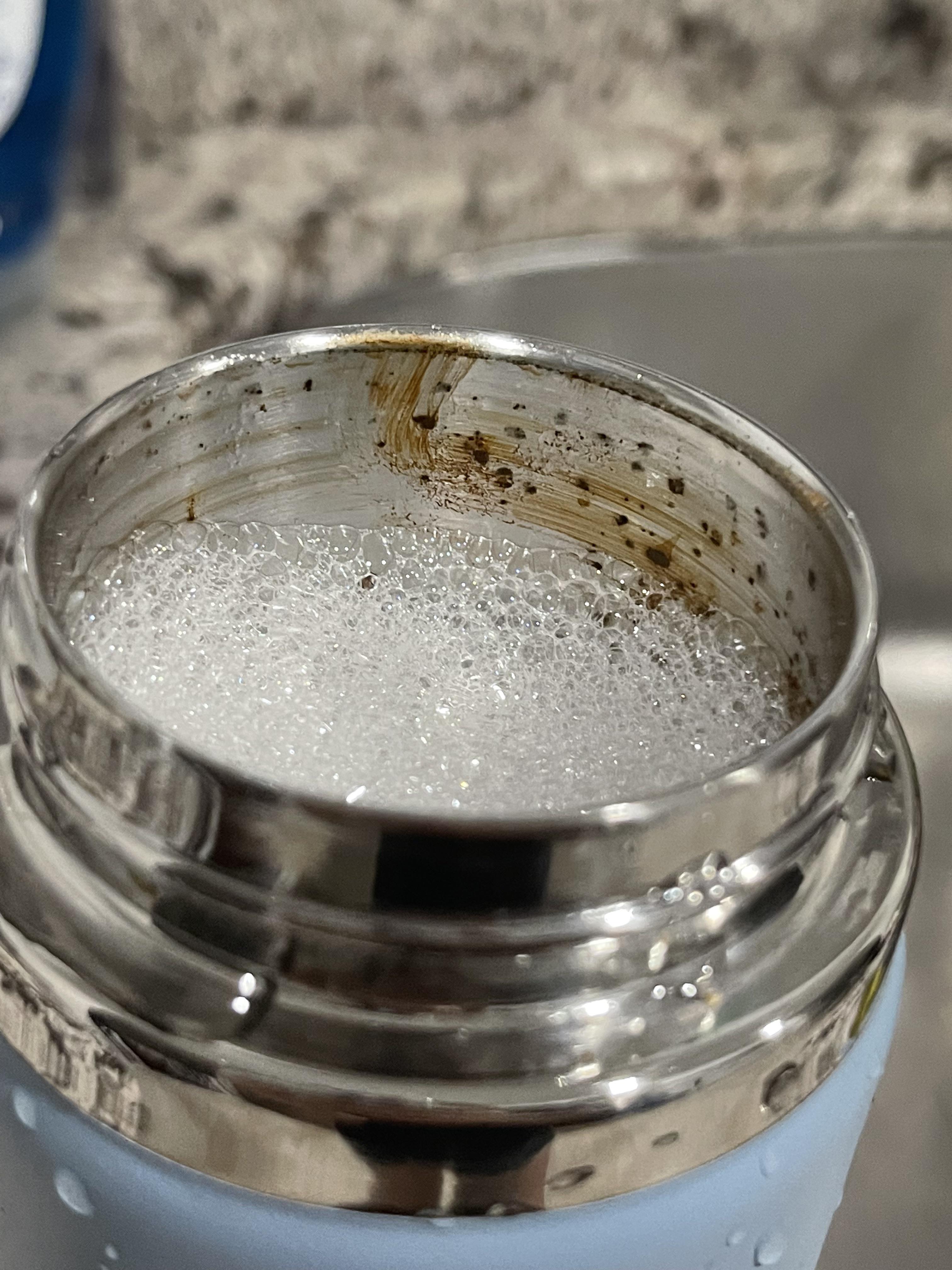 How to rid of mold in stainless steel water bottle? I’ve been soaking