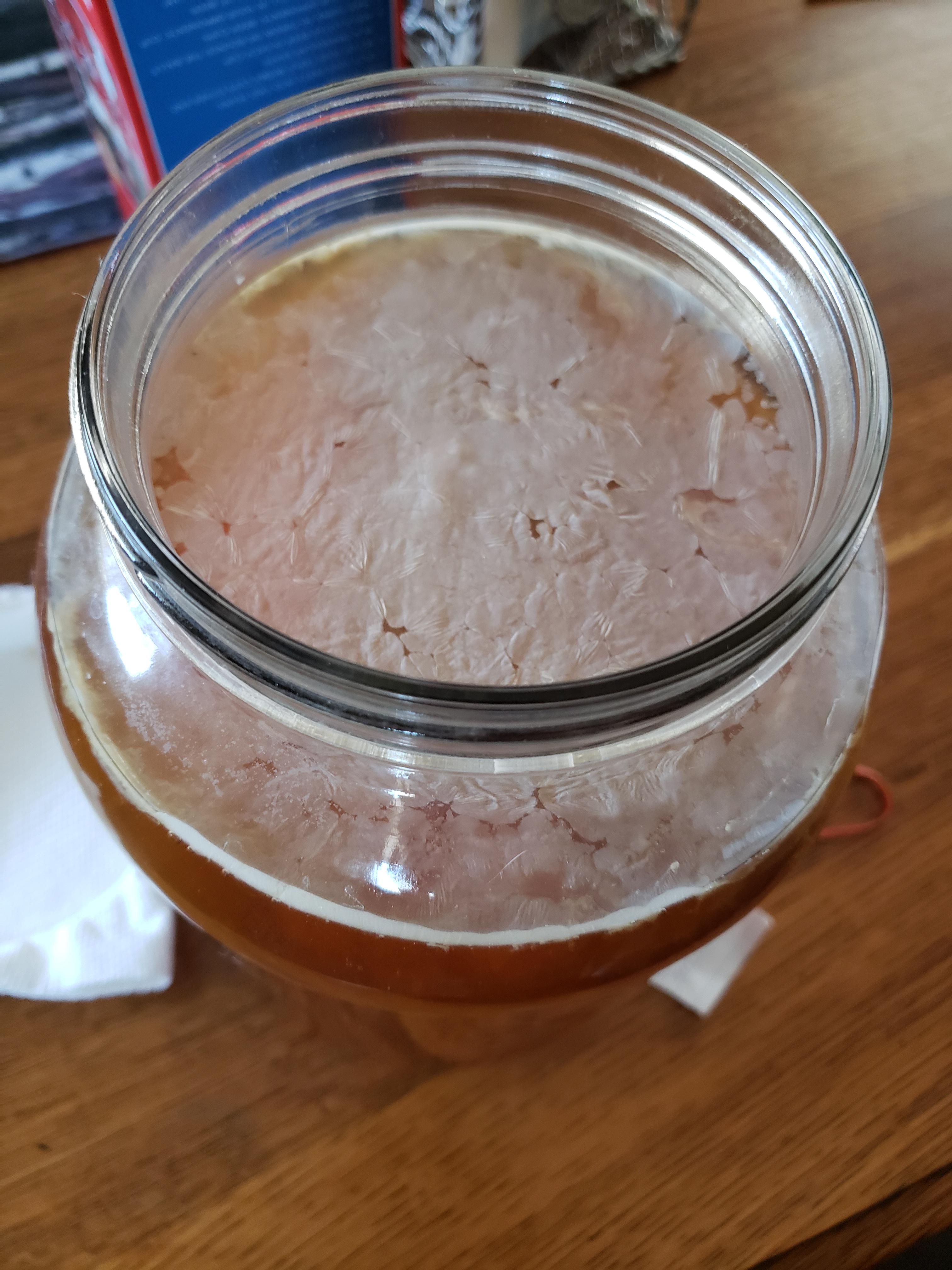 Is this yeast on my kombucha or other contamination? r/fermentation