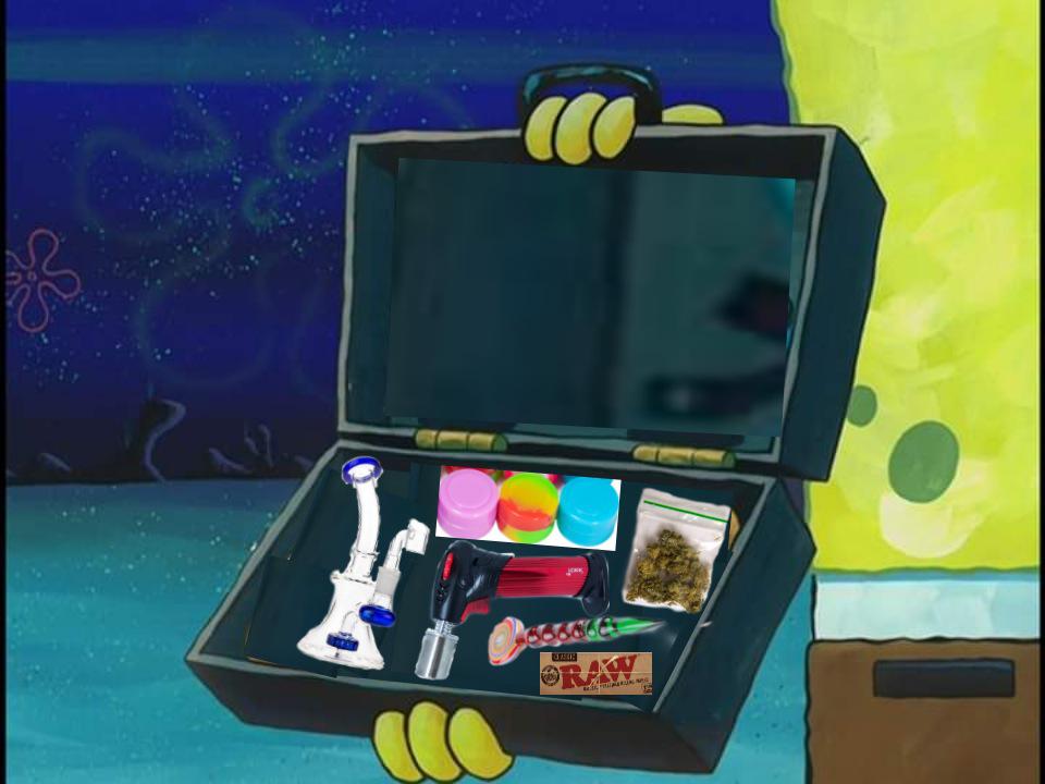 By the way, you your briefcase r/memes