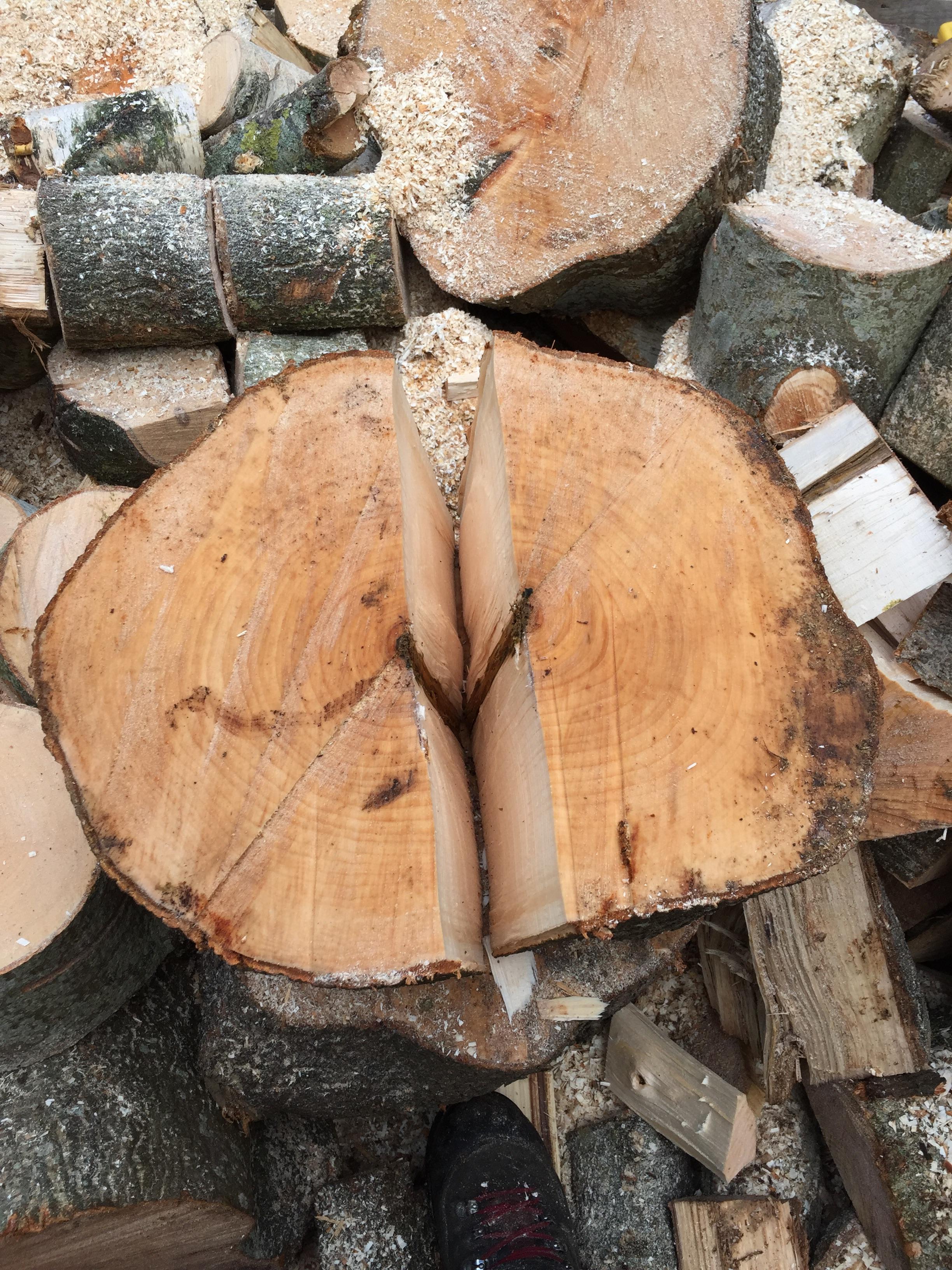 This perfect log split at work the other day : r/mildlyinteresting