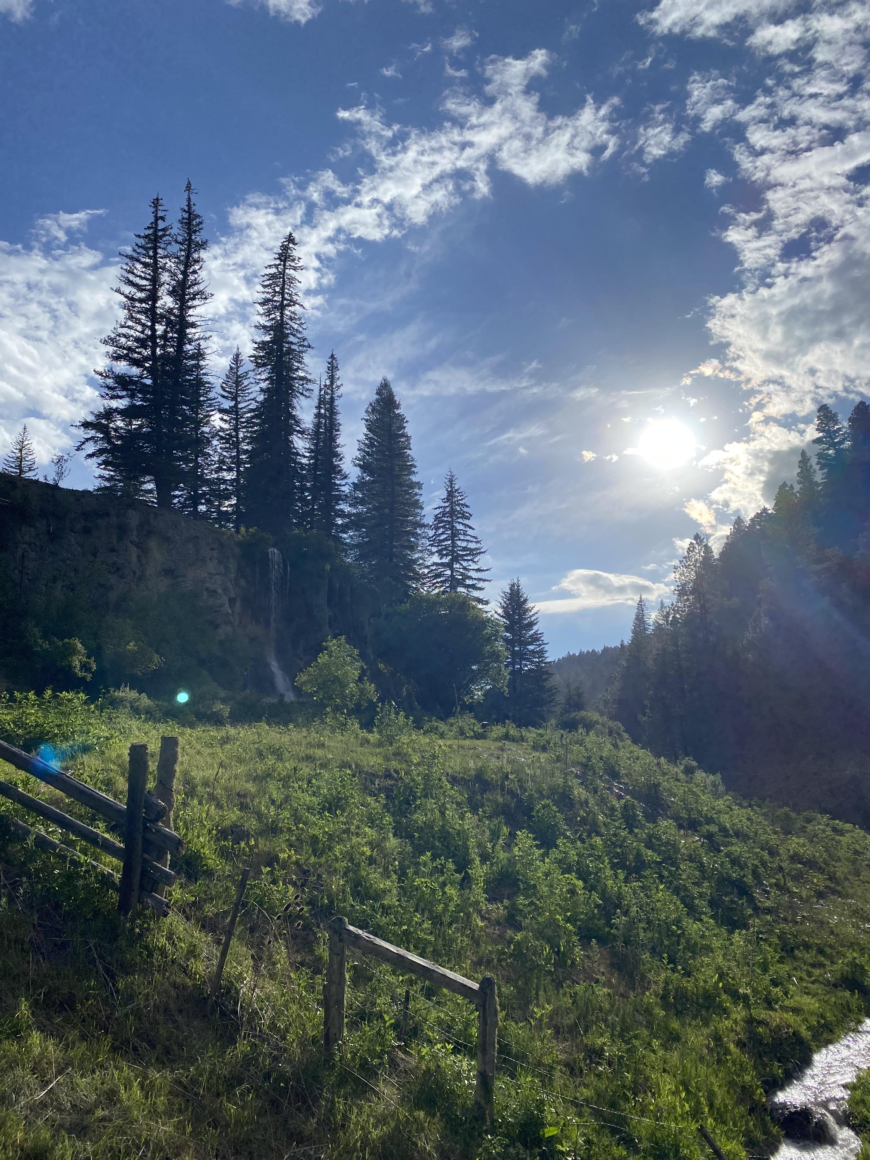 It was a lovely day at Bluff Springs , Rio Penasco, New Mexico r/hiking