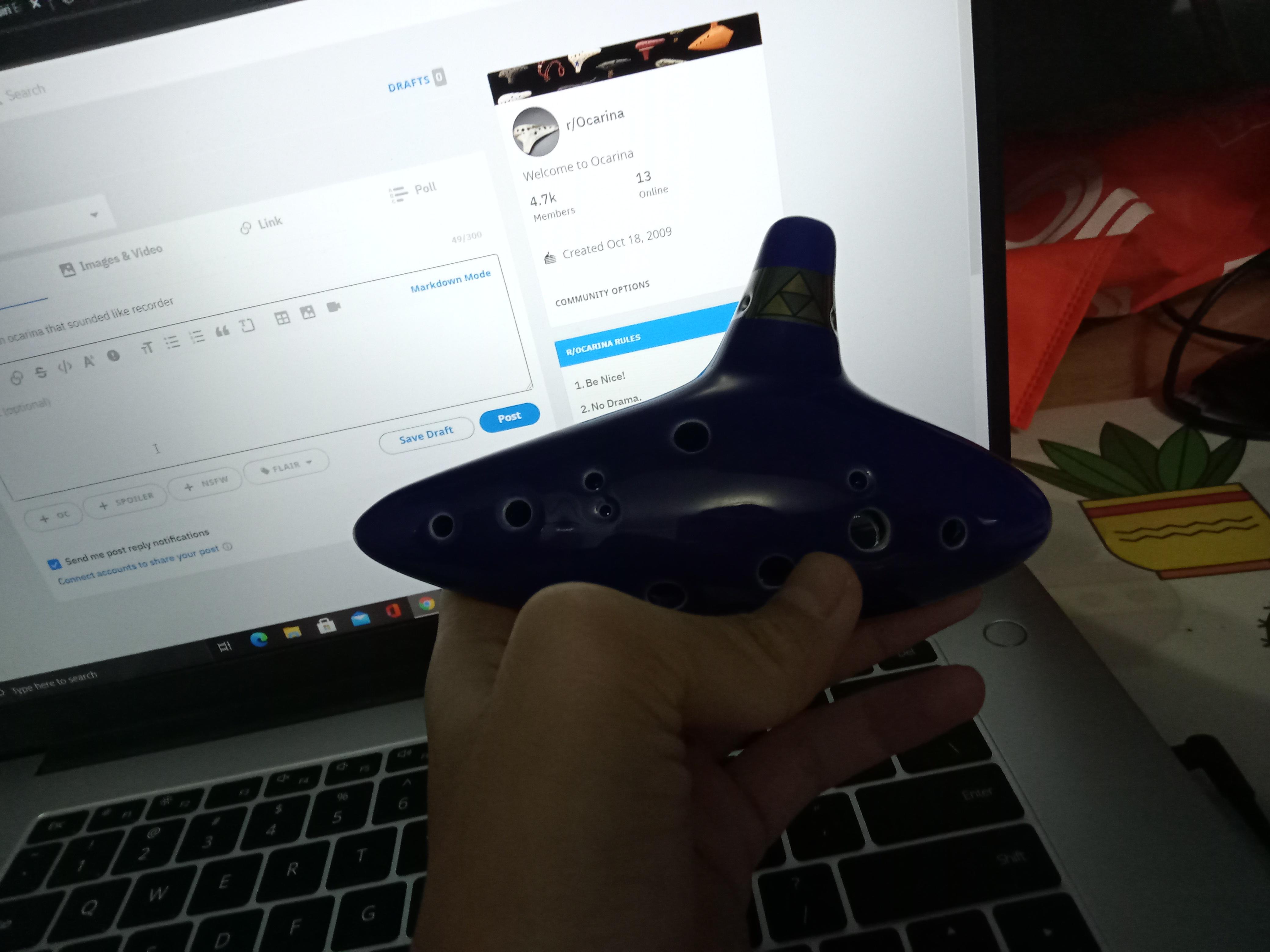 Sounded odd just wanted to learn ocarina and it absolutely sounded like