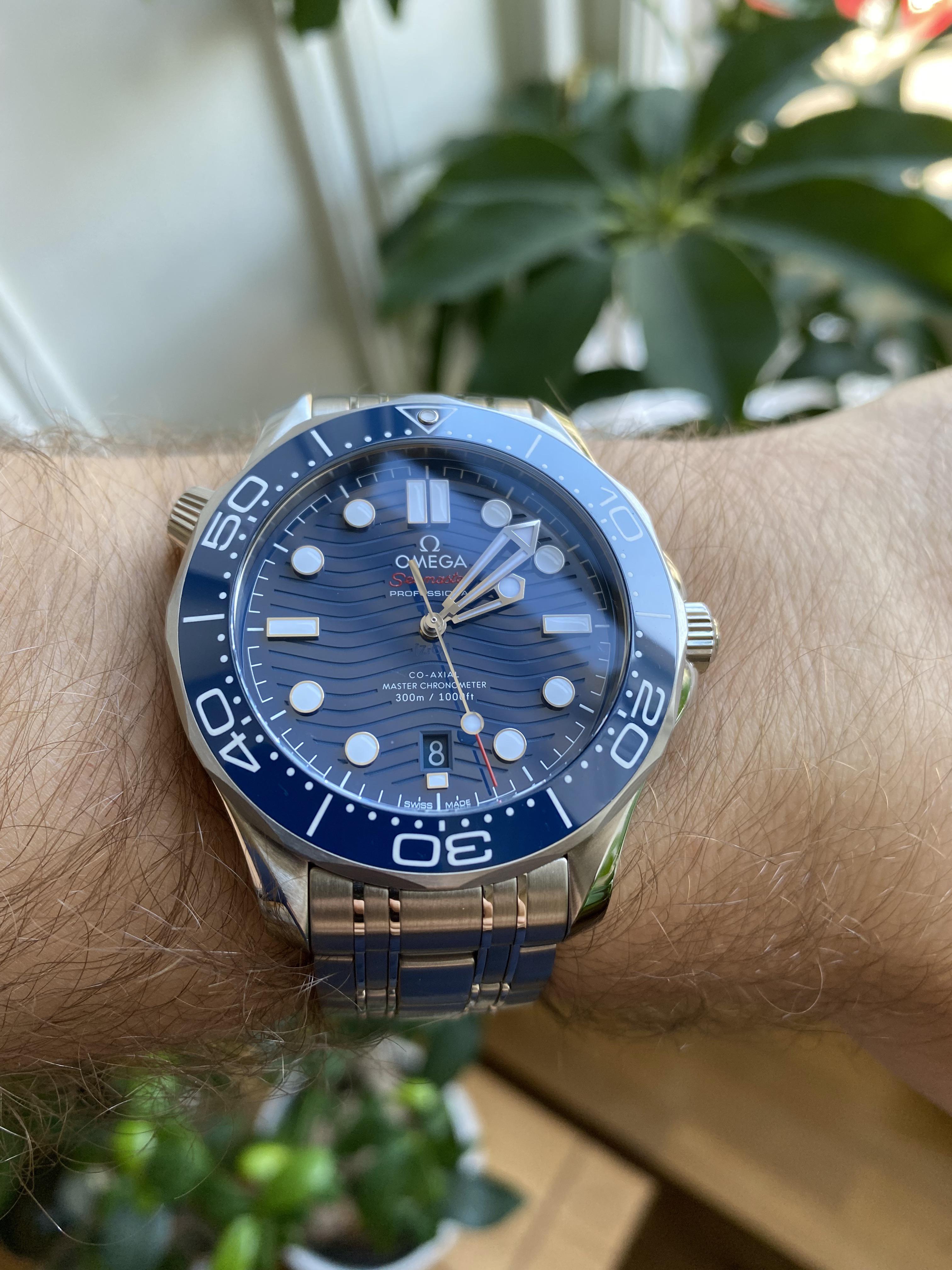 [Omega] Seamaster 300M New job/Promotion gift to myself. r/Watches