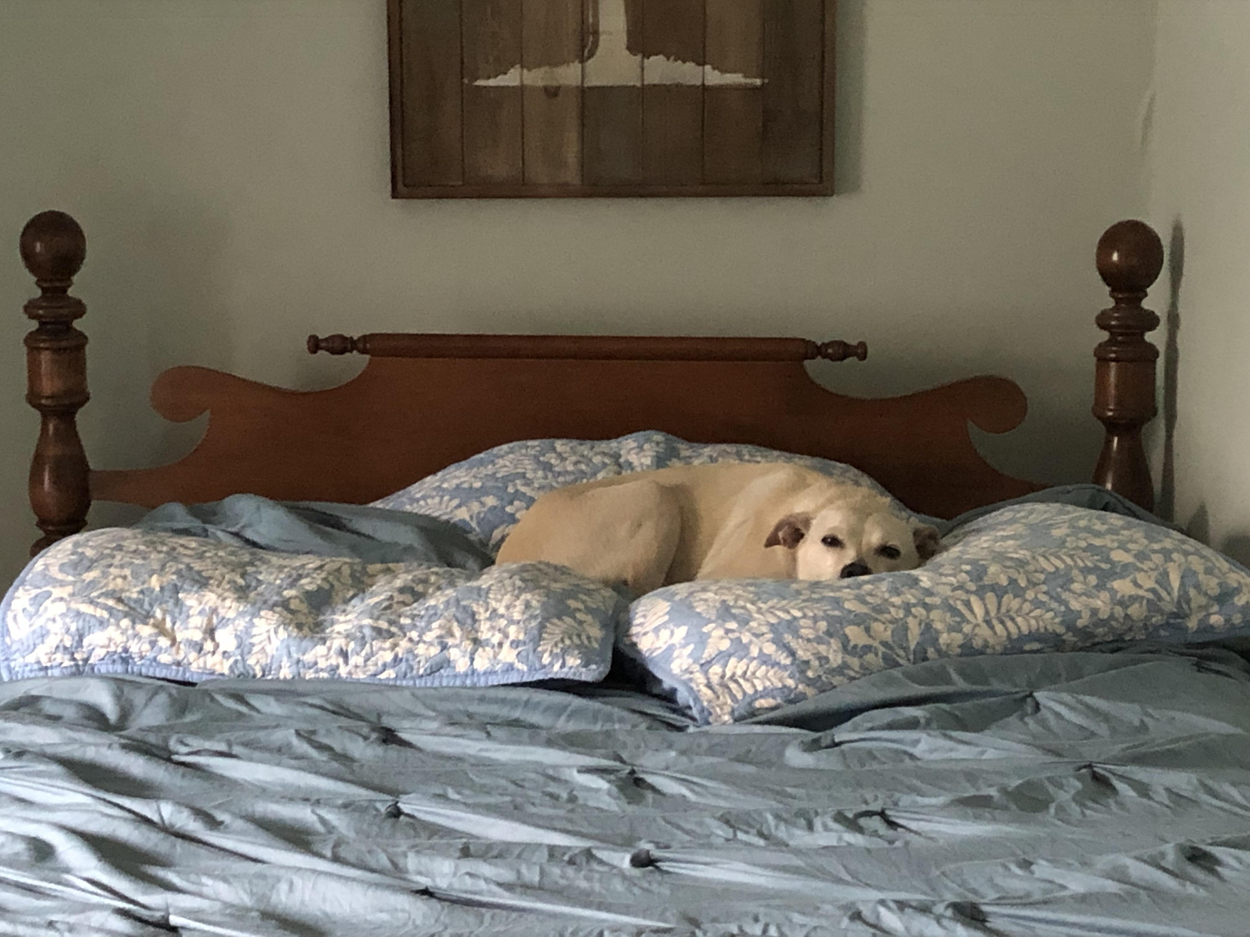 She sneaks out to sleep on the spare bed every night and doesn’t think