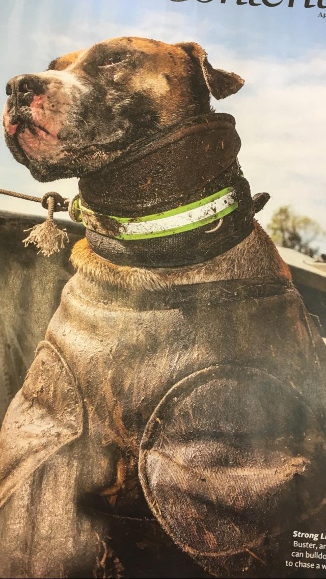 This badass picture that I found in a hunting magazine of an American