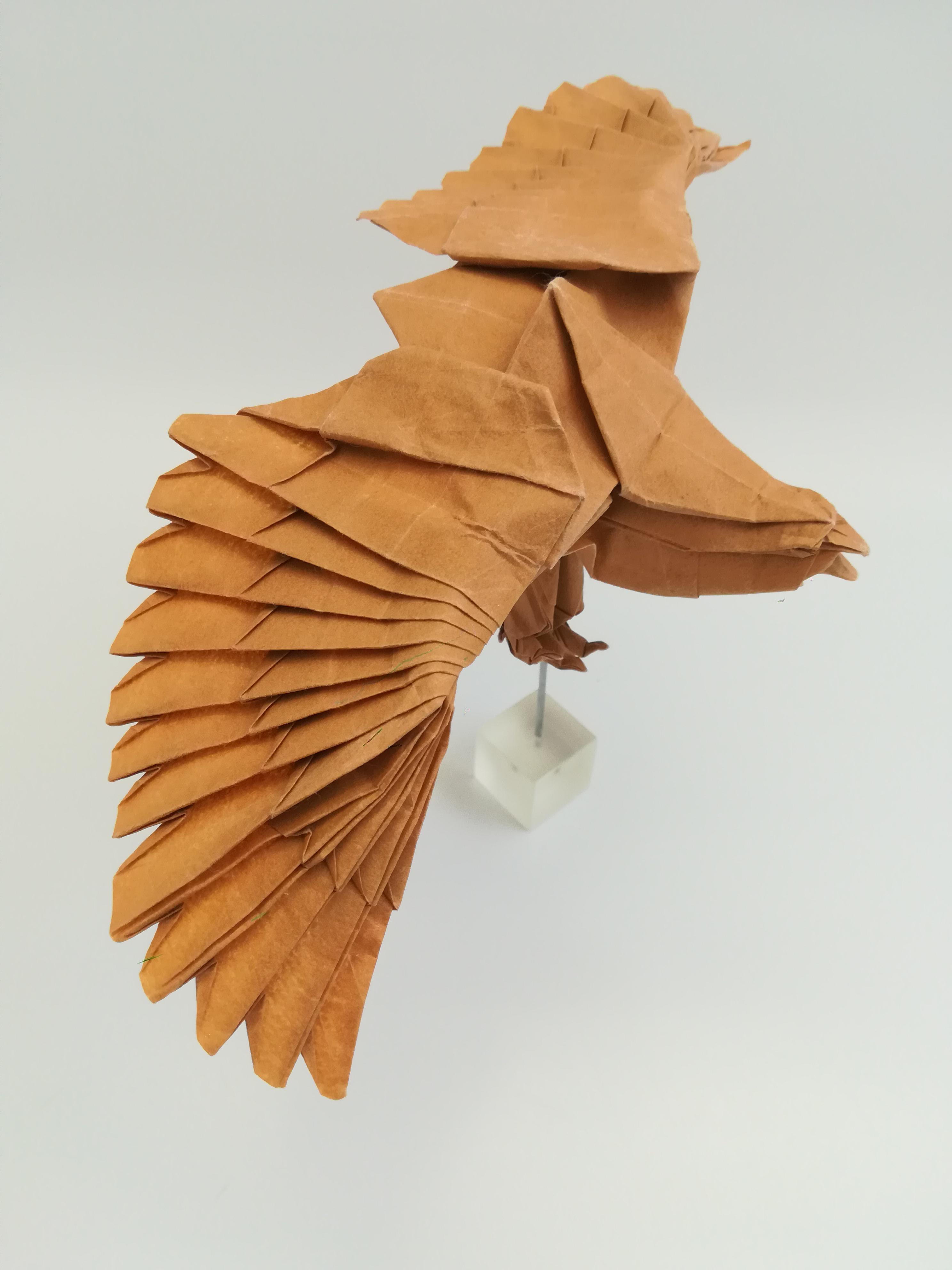 My attempt at Nguyen Hung Cuong's eagle origami