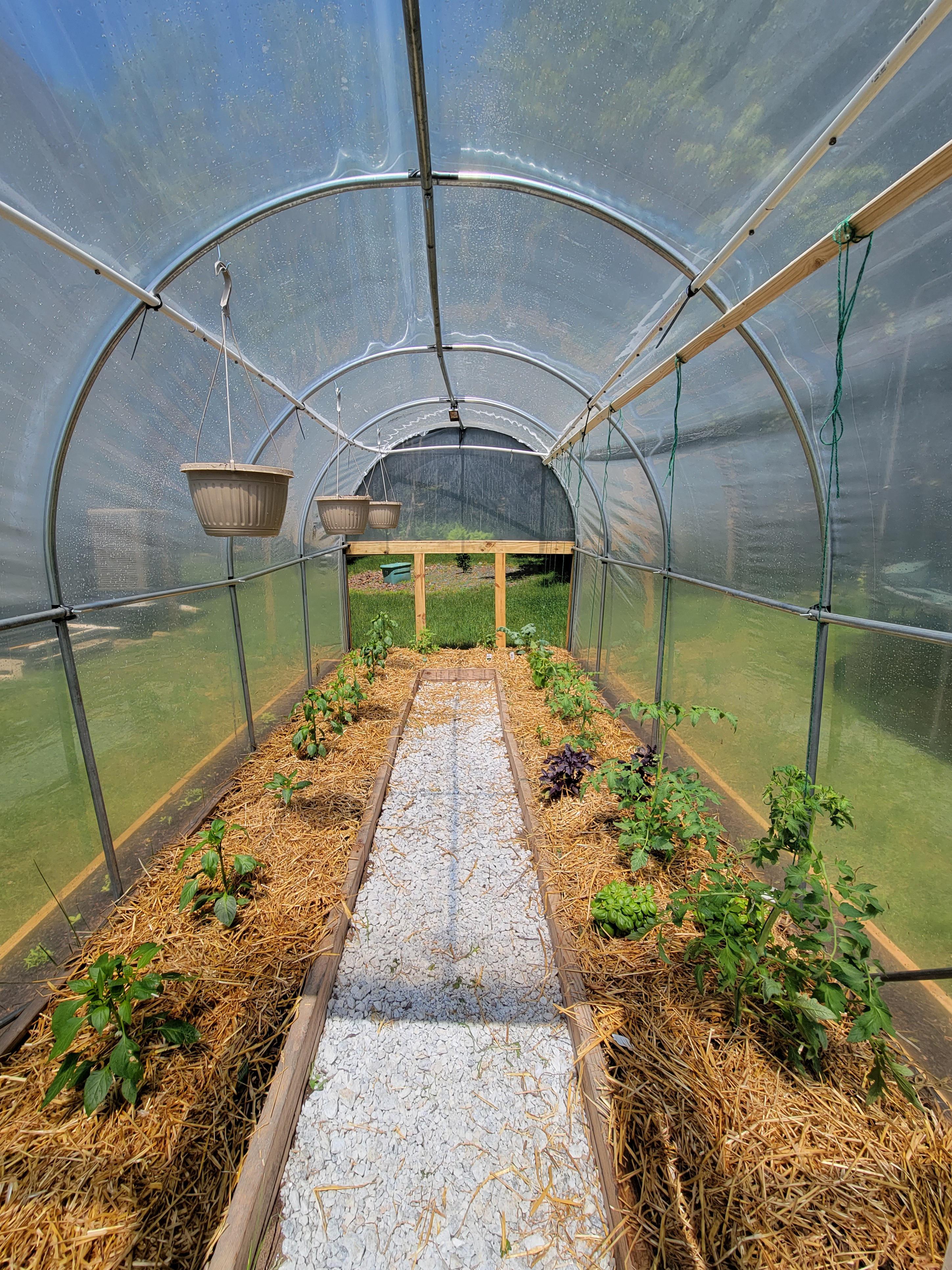 Check out my hoop house recycled from old tent poles Greenhouses