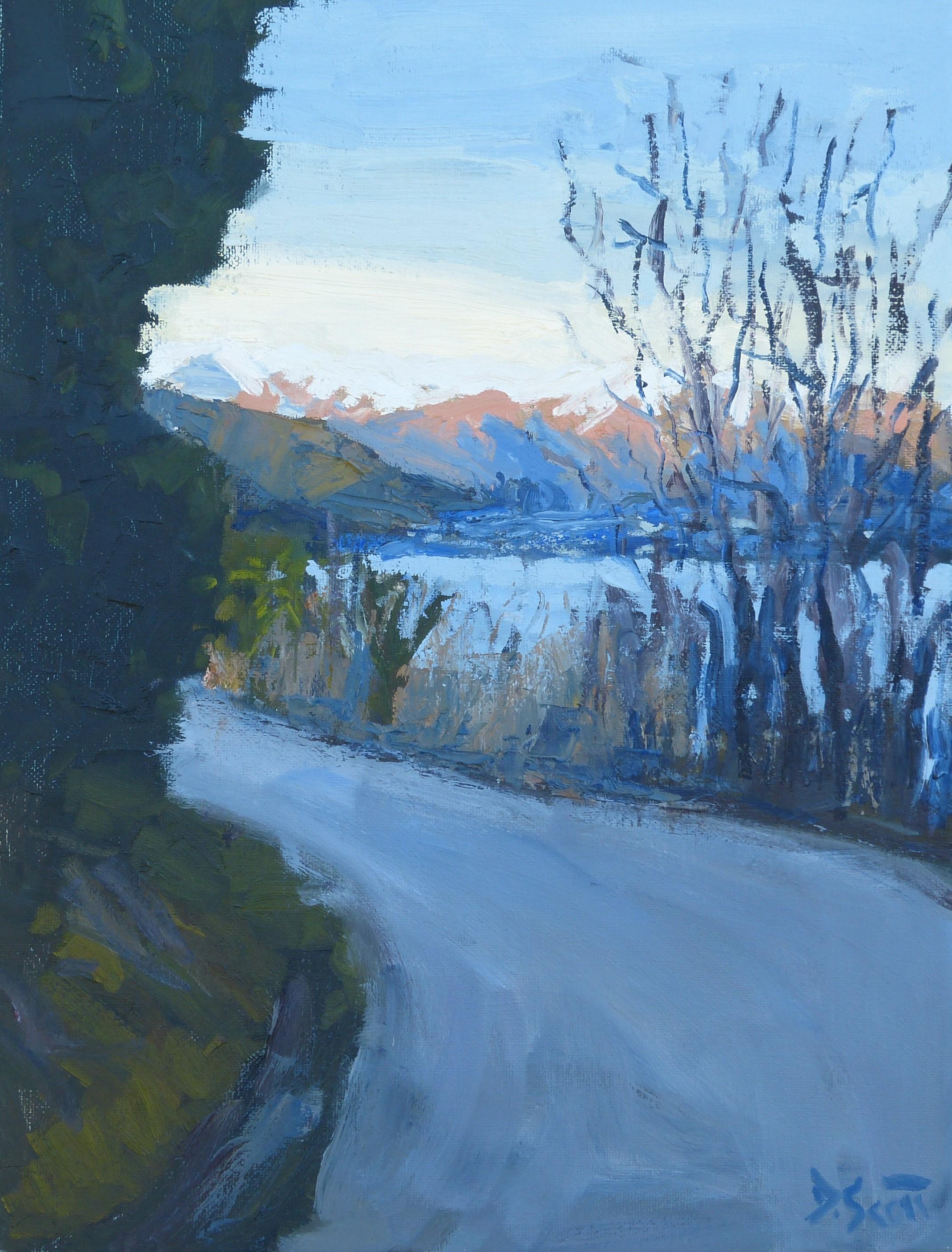 Afternoon In Queenstown, 16x12 Inches, Oil On Canvas r/Art