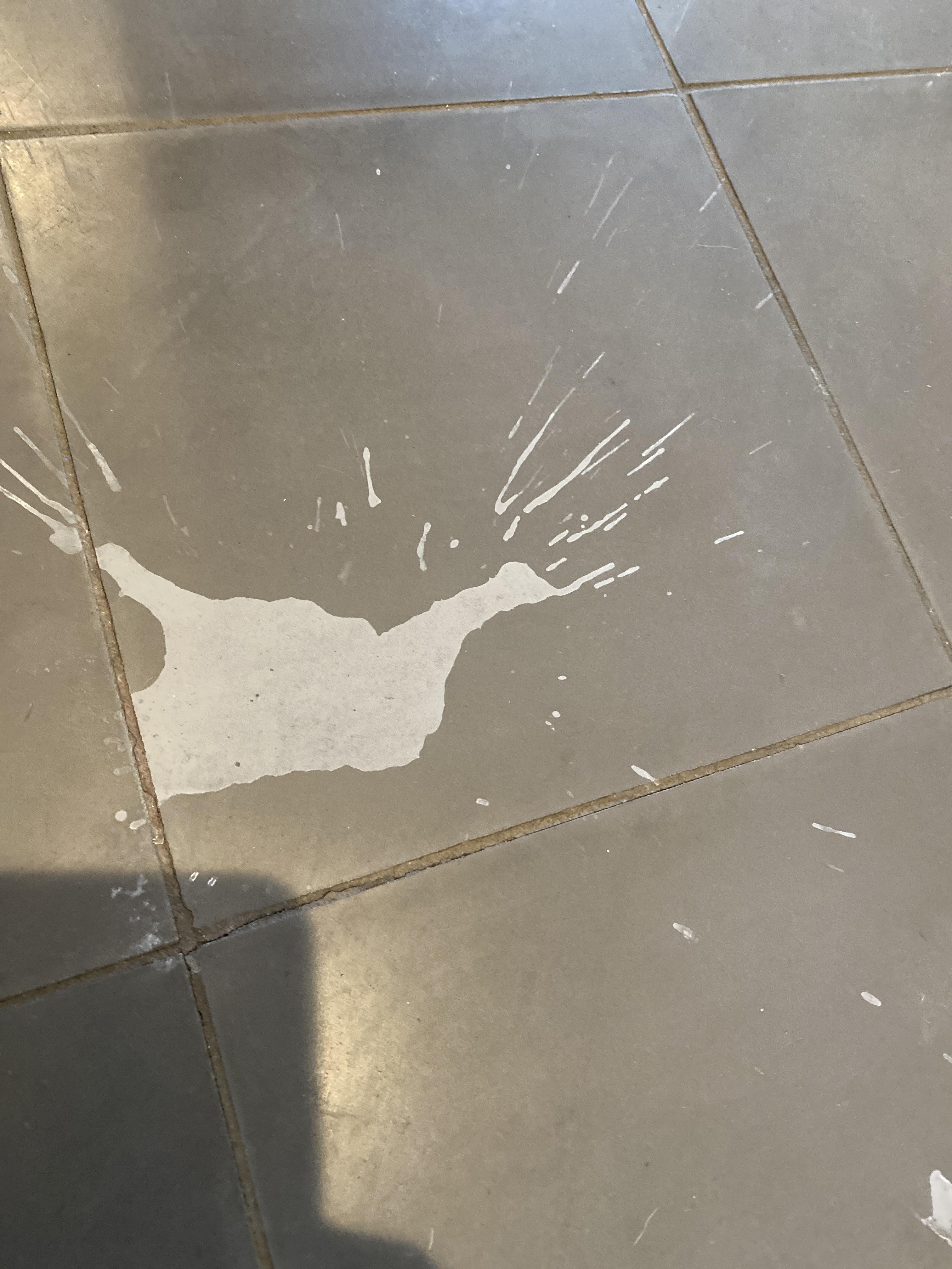 My cement tiles have white stains all over (vinegar?). Instead of