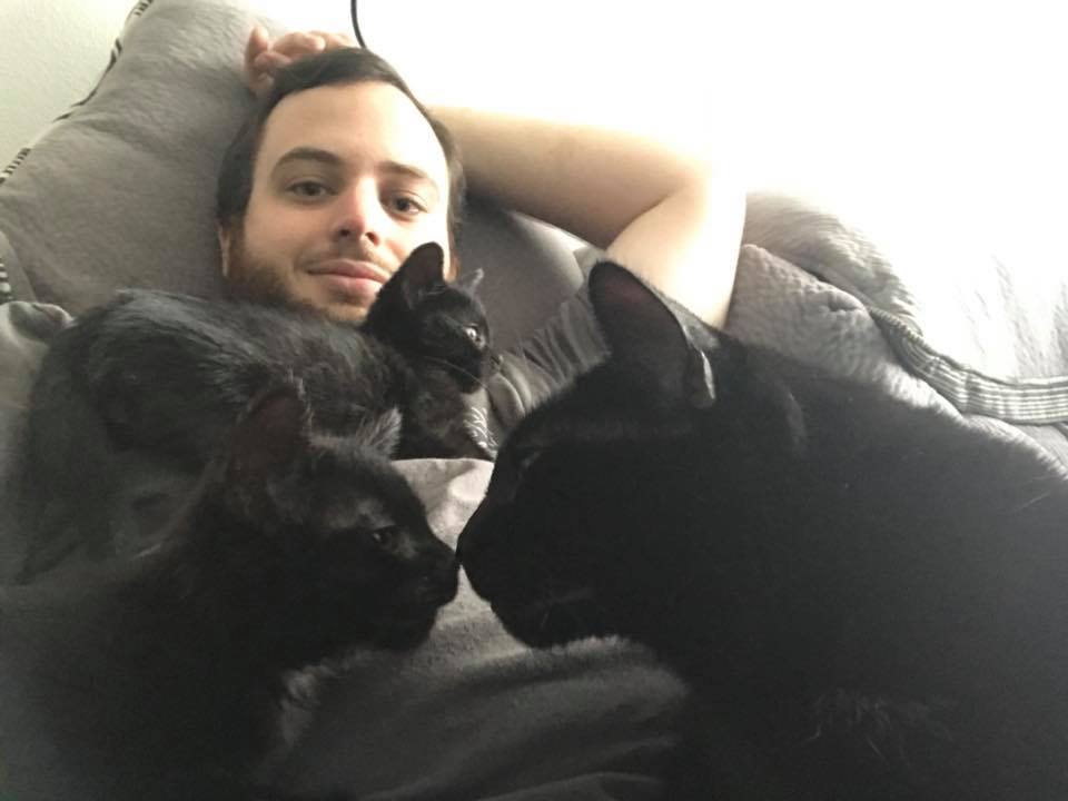 Just adopted our foster kittens. Now there's 3 black cats in the family