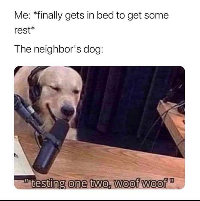 who let the dogs out memes