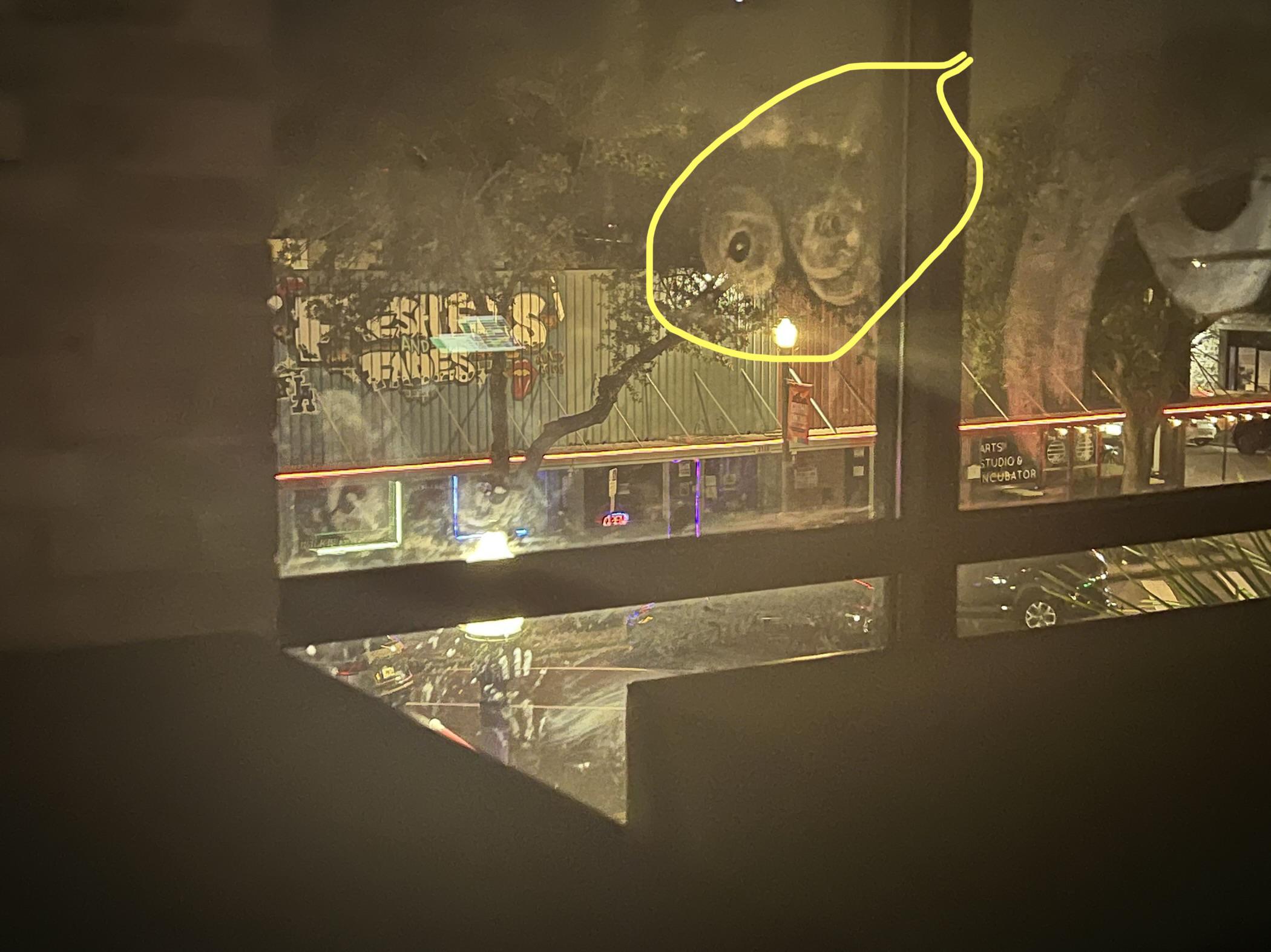 2 best u/maeby_bull images on Pholder Boob print on the window at