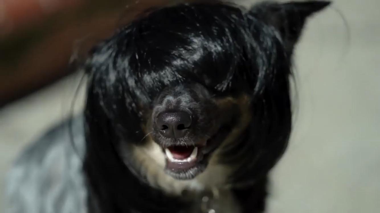 I I had this screenshot of Spencer! r/CrankGameplays