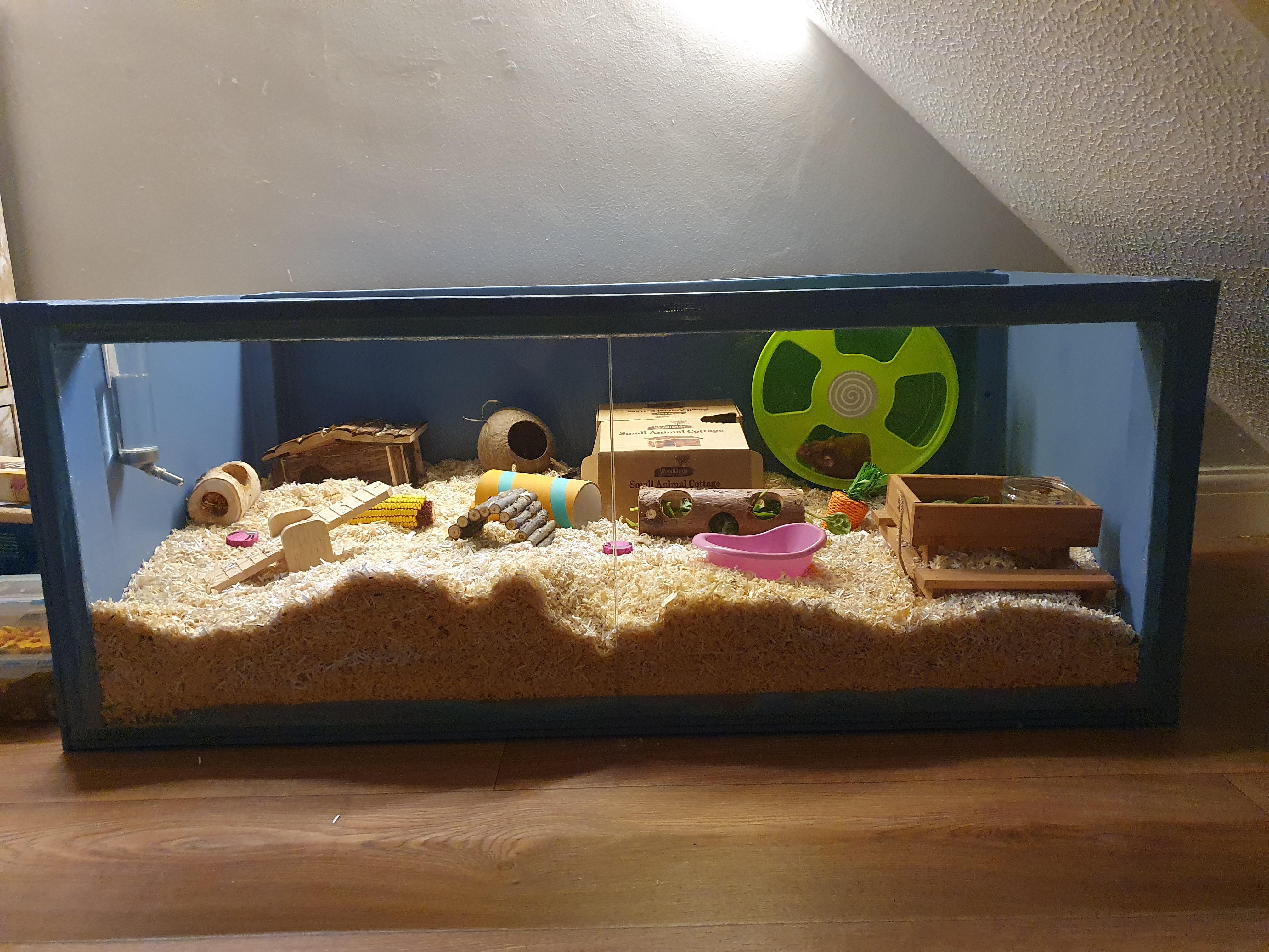 We made a new enclosure for Olive! r/hamsters