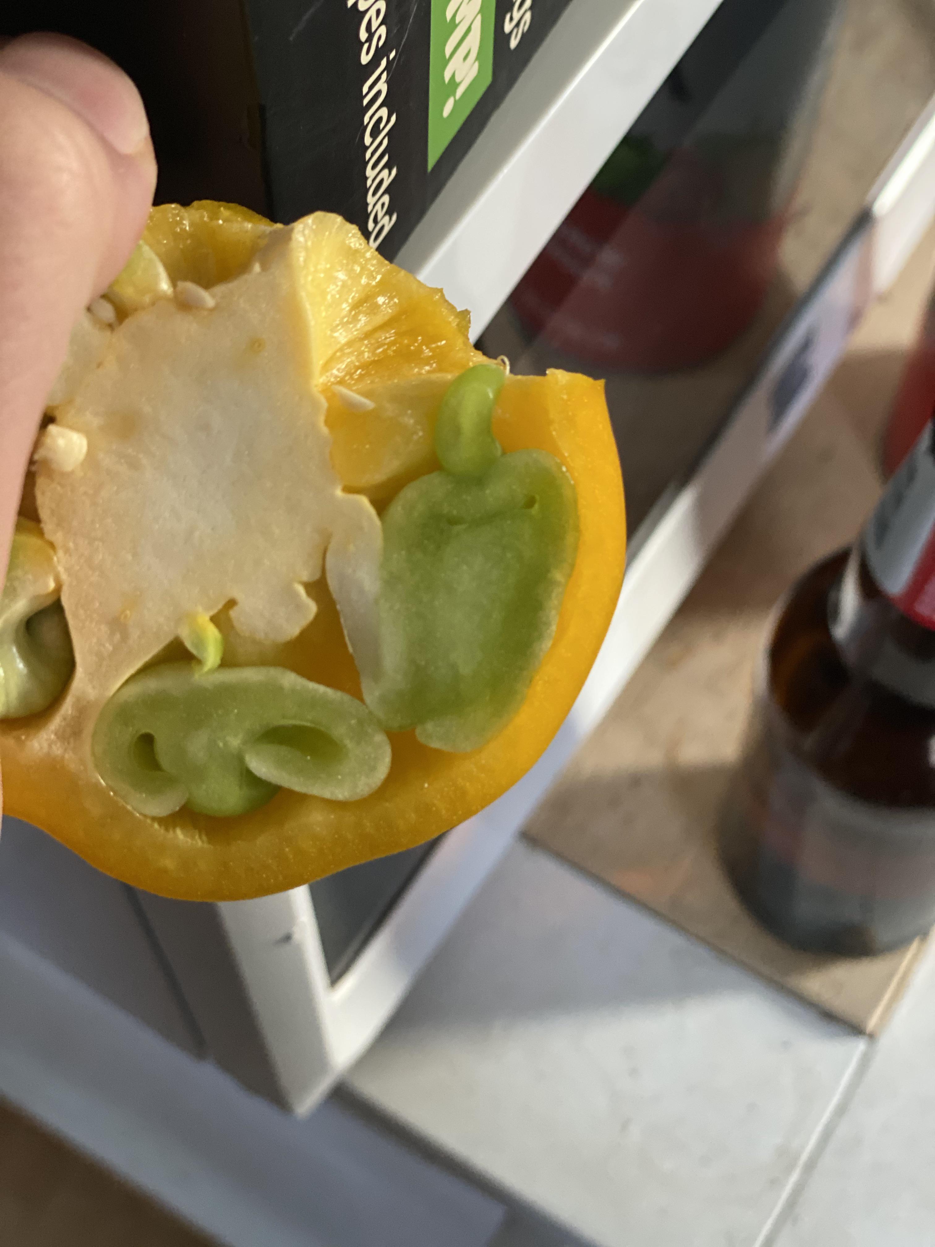 This mini green pepper inside of my yellow pepper! r/mildlyinteresting