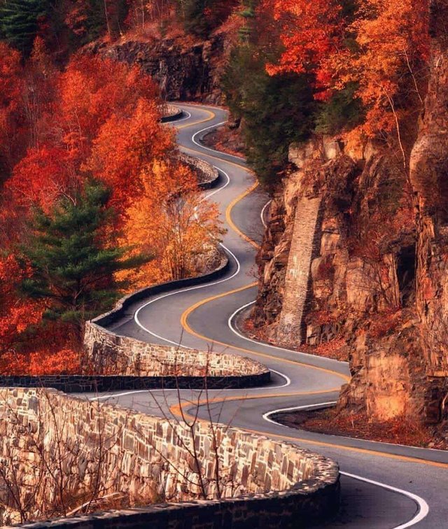 Curvy Road r/oddlysatisfying