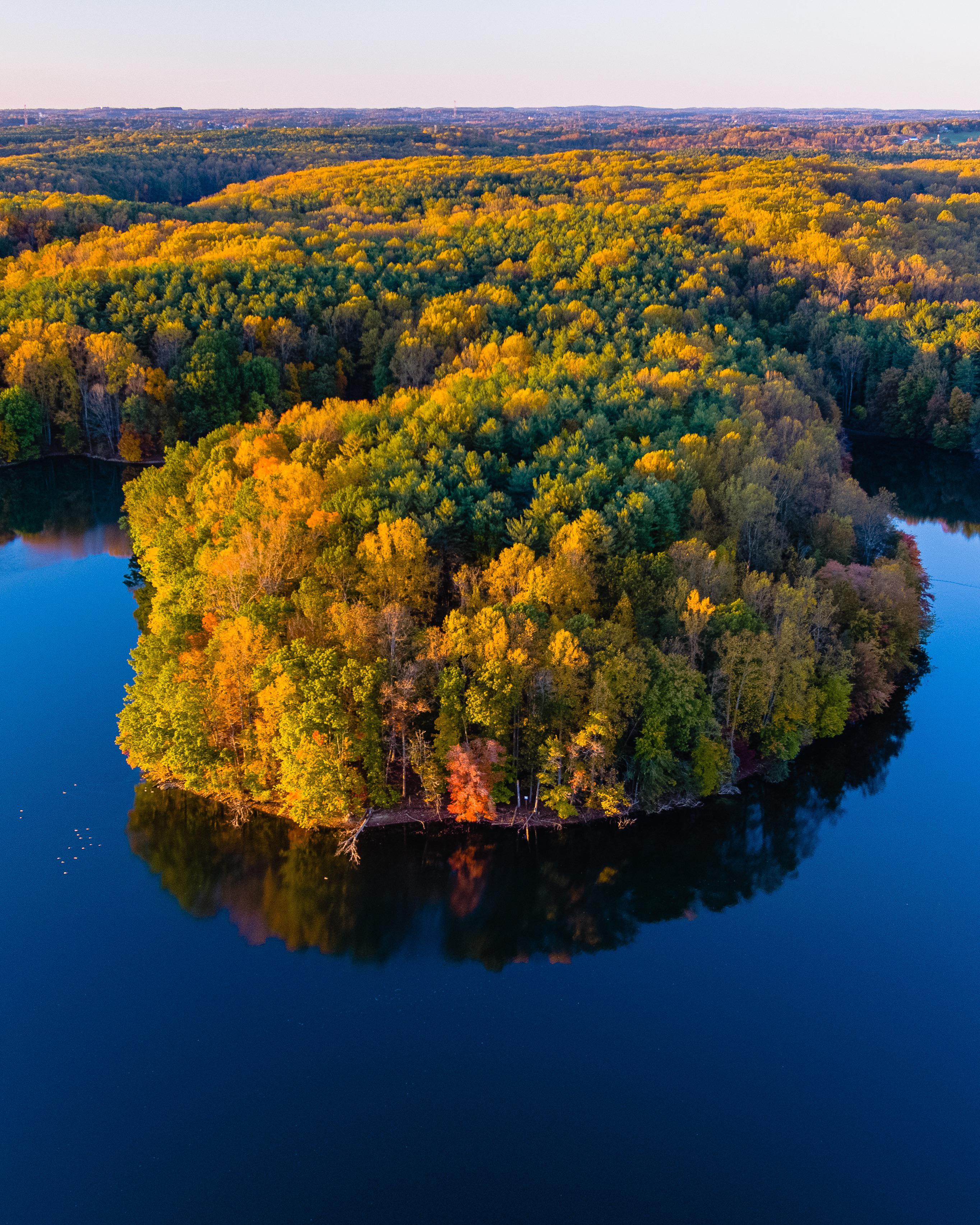 Fall Foliage at Liberty Reservoir. 🍁🍂 r/maryland