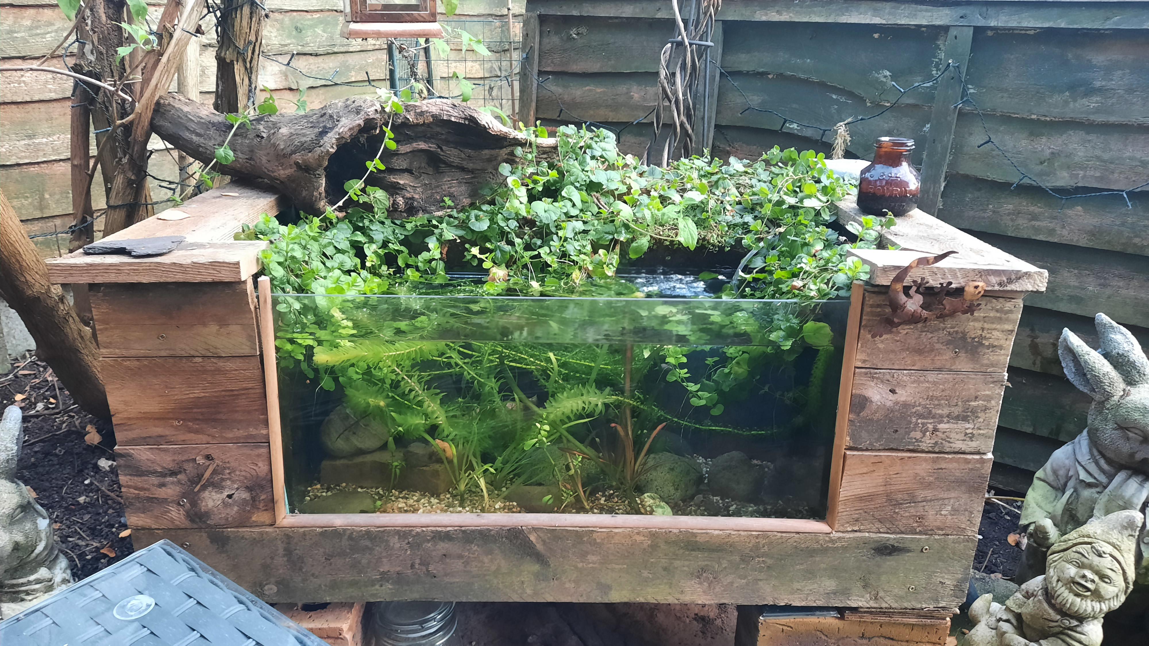 Outdoor Garden Aquarium A piece of the UK Riverside r/PlantedTank