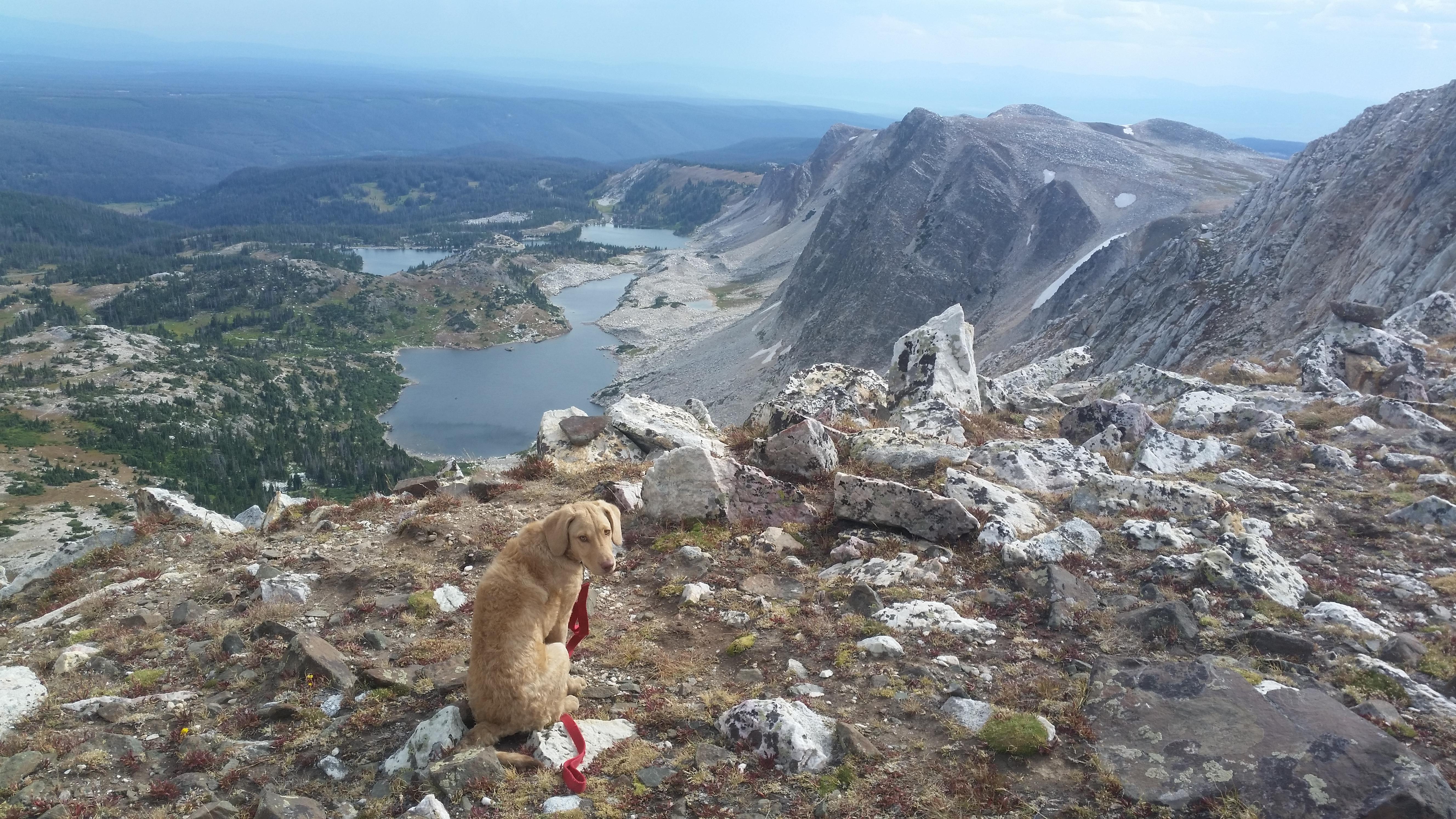 Medicine Bow Peak, Wy r/WildernessBackpacking