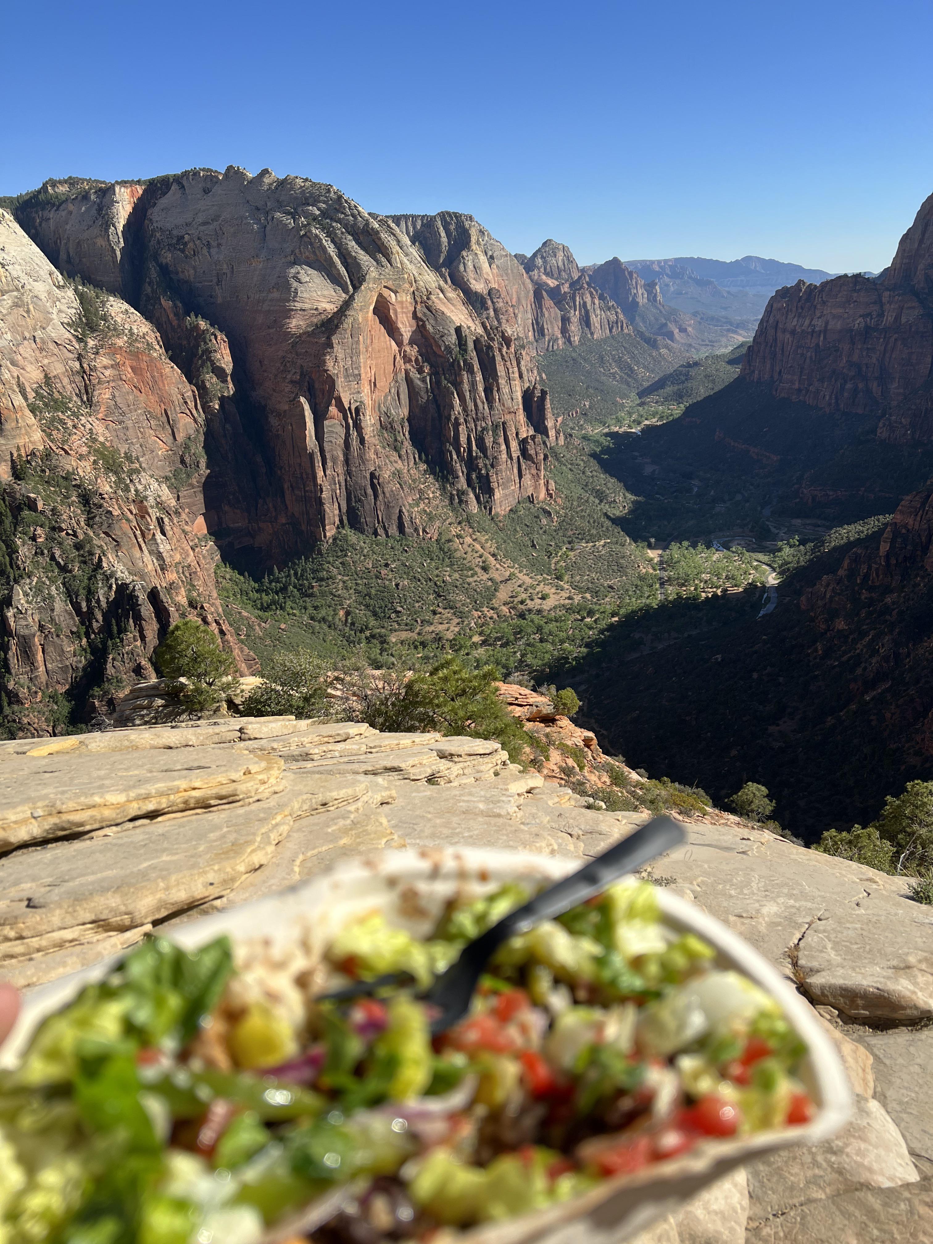Chipotle bowl chicken, brown rice, black beans, pico, lettuce, and