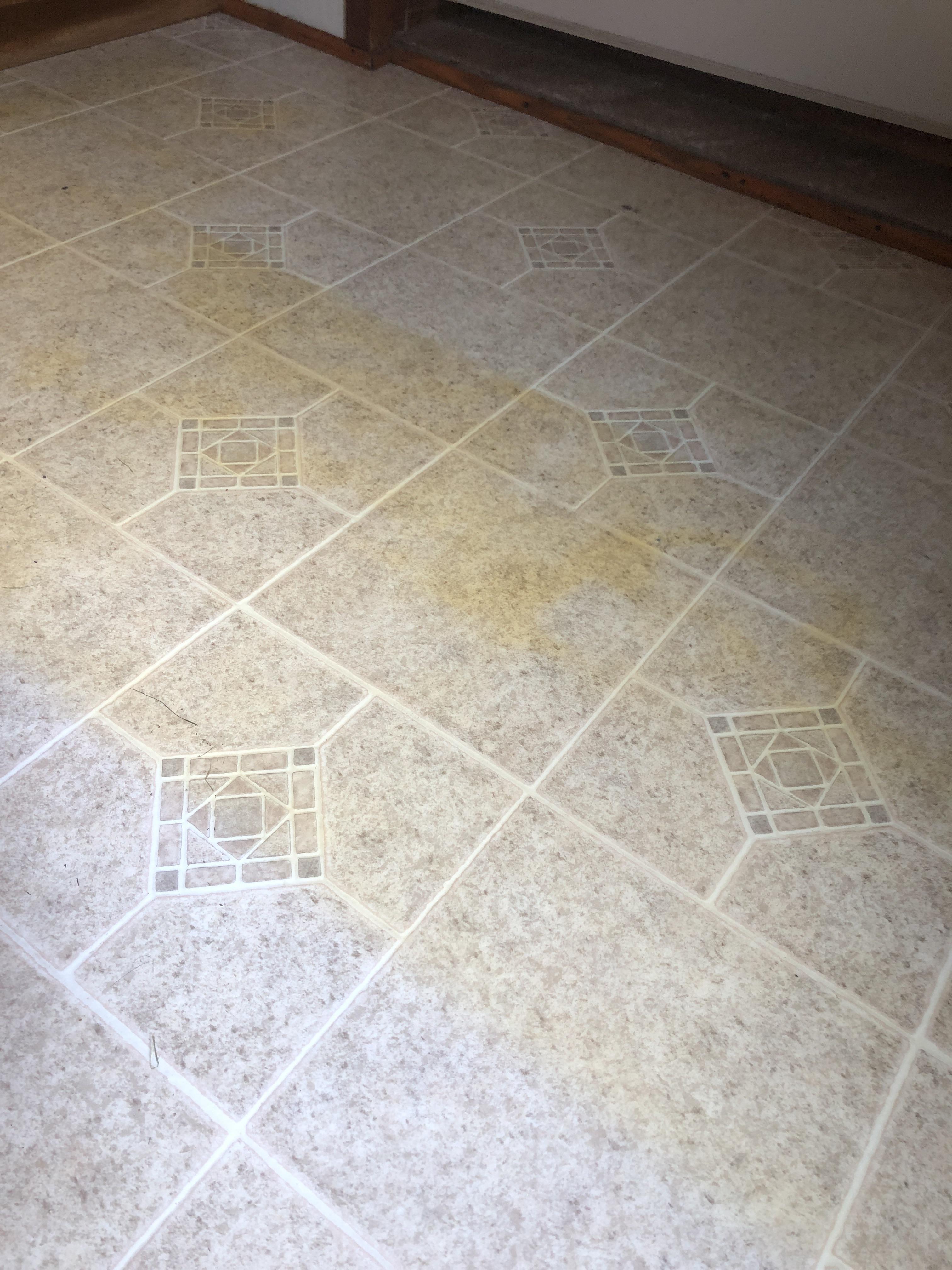 Can this discoloration in vinyl flooring be fixed? r/CleaningTips