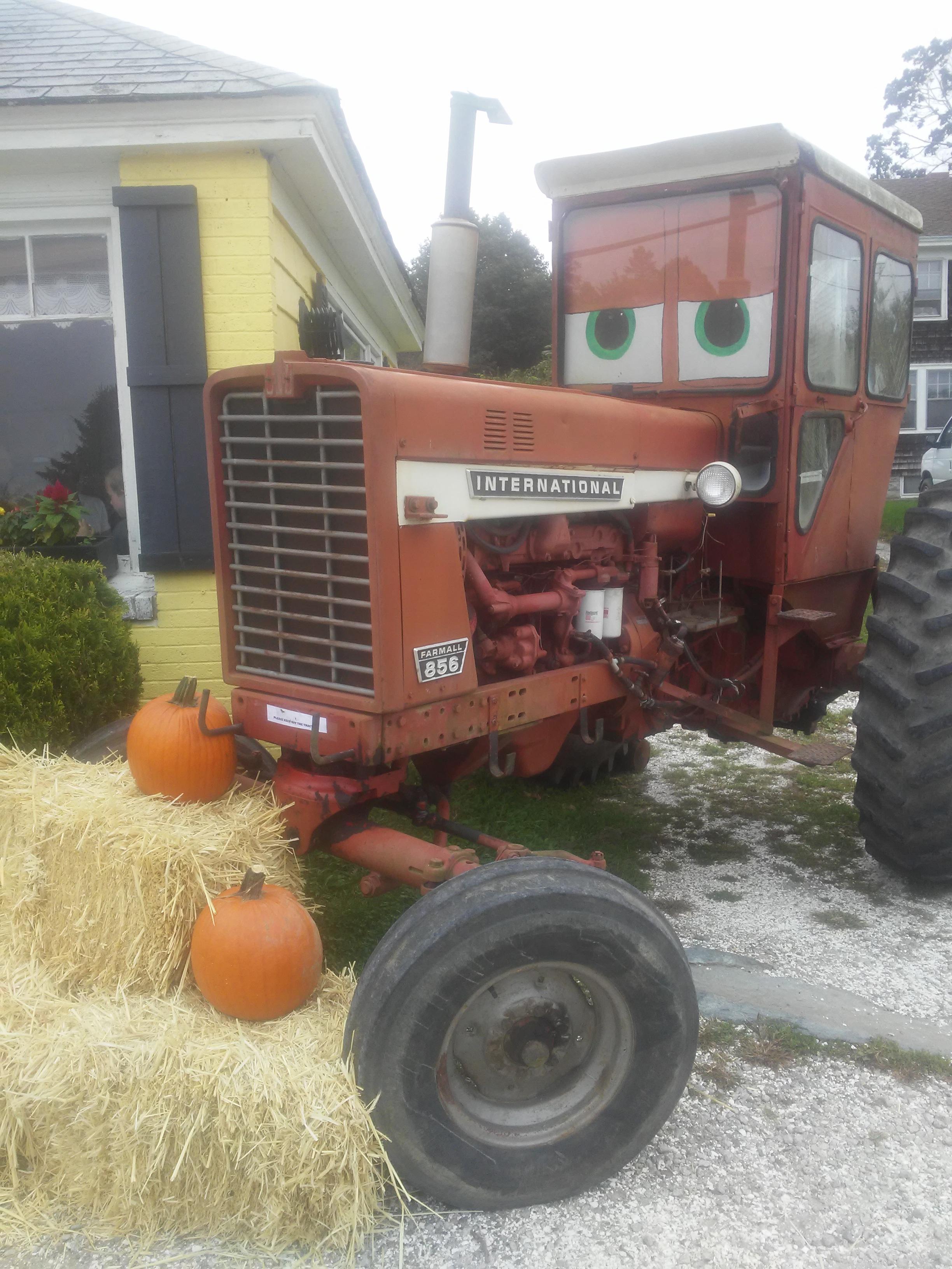 Helped make this display for the fall season for my family business