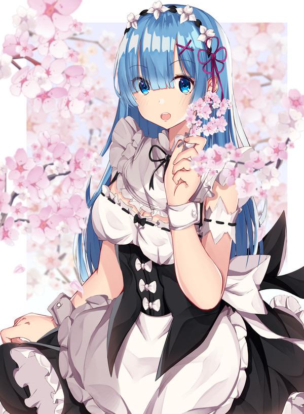 Daily Long Haired Rem 12 LongHairedRem