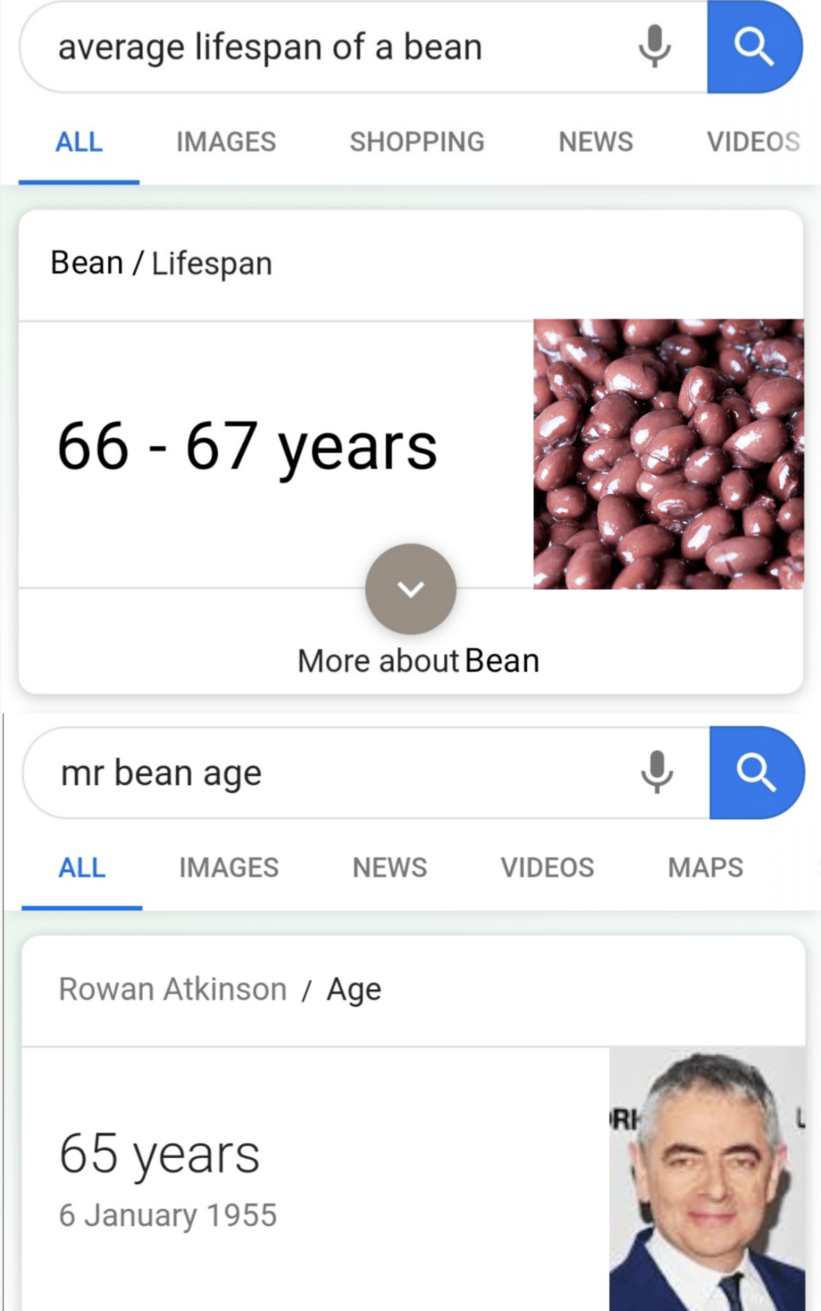 Beans lifespan r/Beans