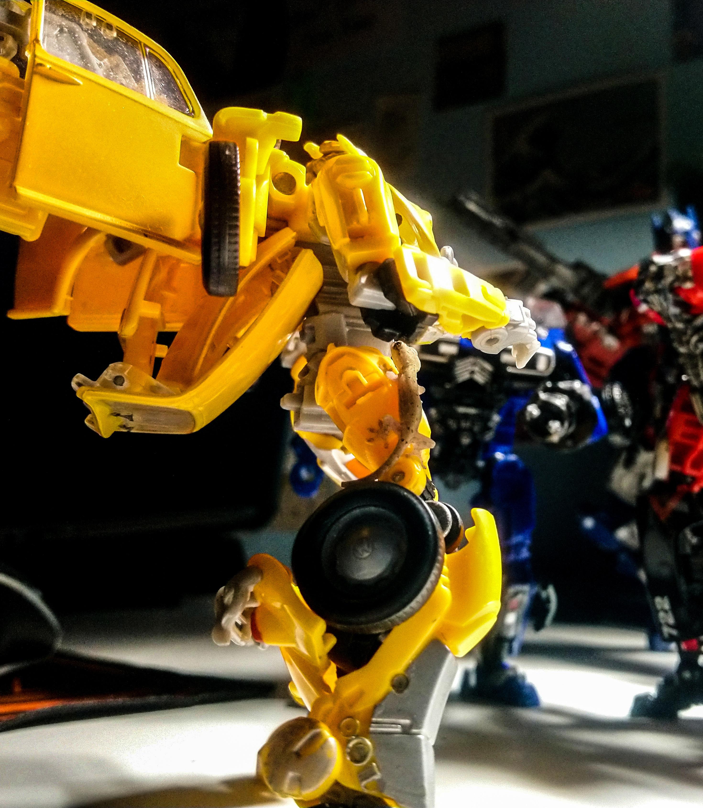 Bumblebee made a new friend today... r/transformers