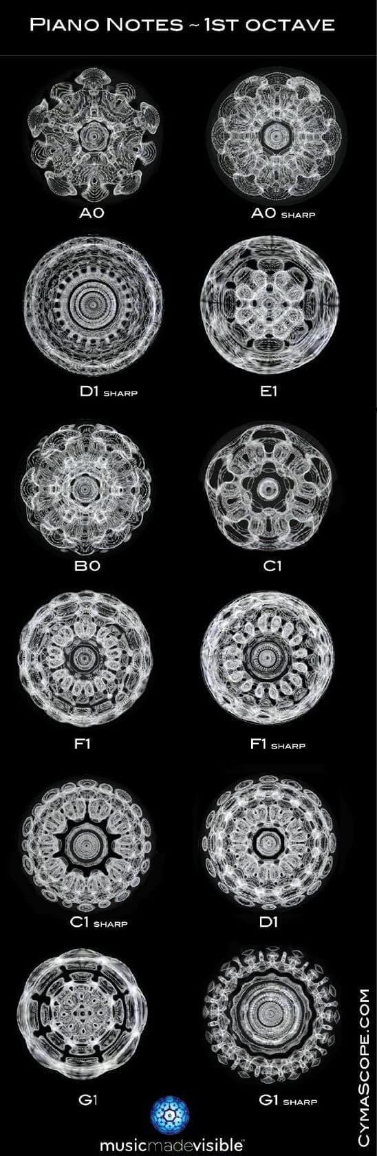 Bowls of water with different frequencies applied. You are about 80