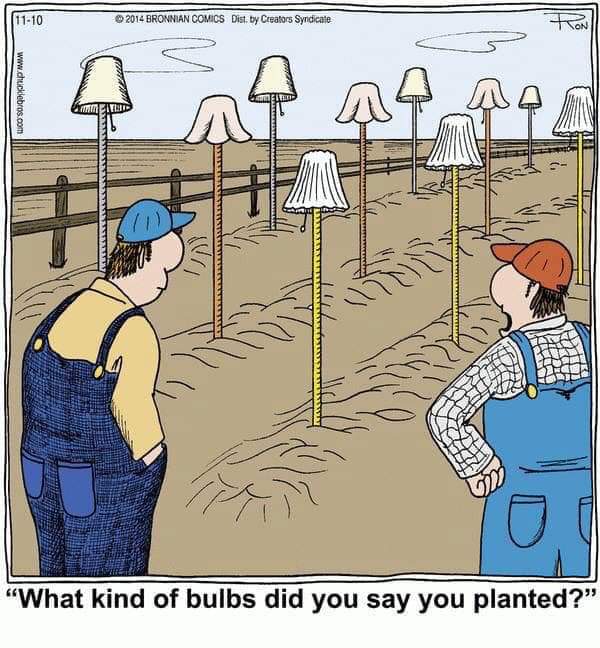 A little garden humor. r/gardening