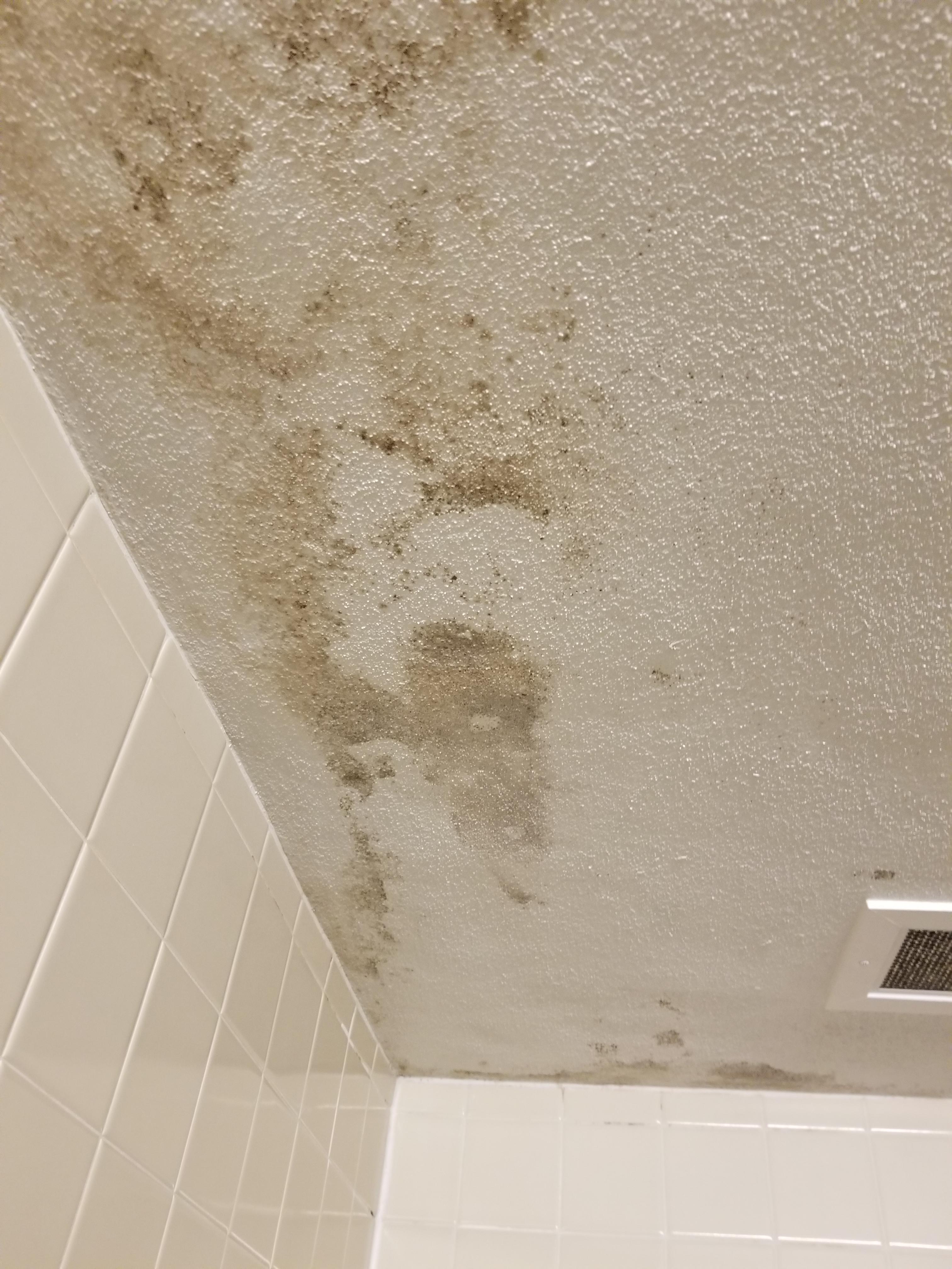 Only at NAU gabladon dorm does mold grow on ur bathroom ceiling and