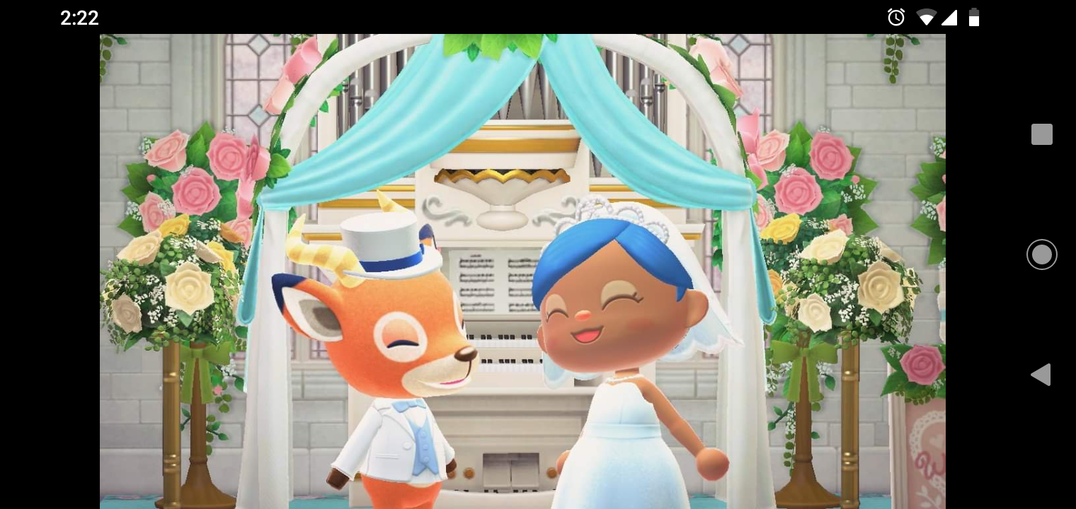 Beau and I got married! r/AnimalCrossing