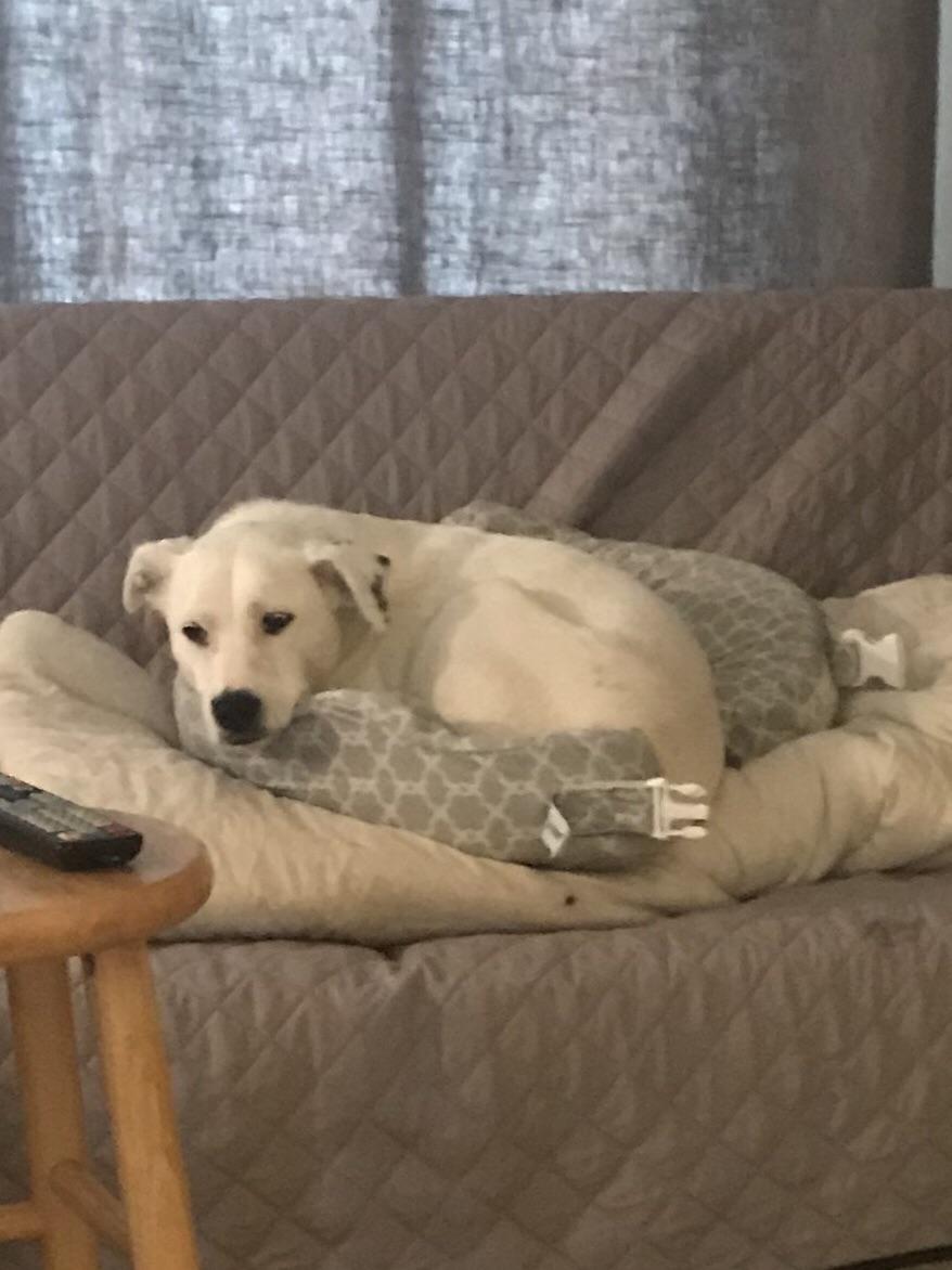 My best friend and my Brest Friend 😊 r/beyondthebump